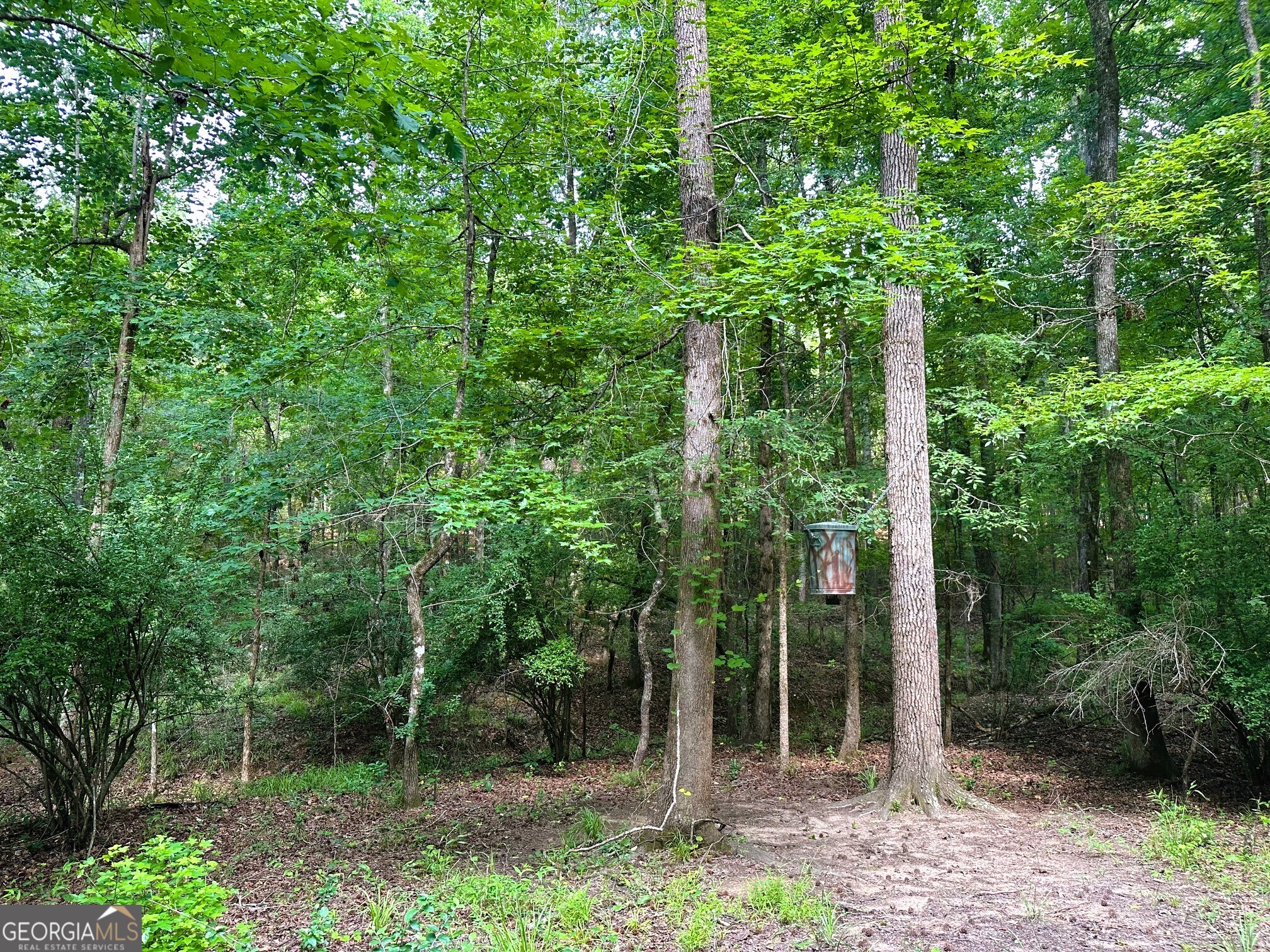 3330 Callaway Road Property Photo 69