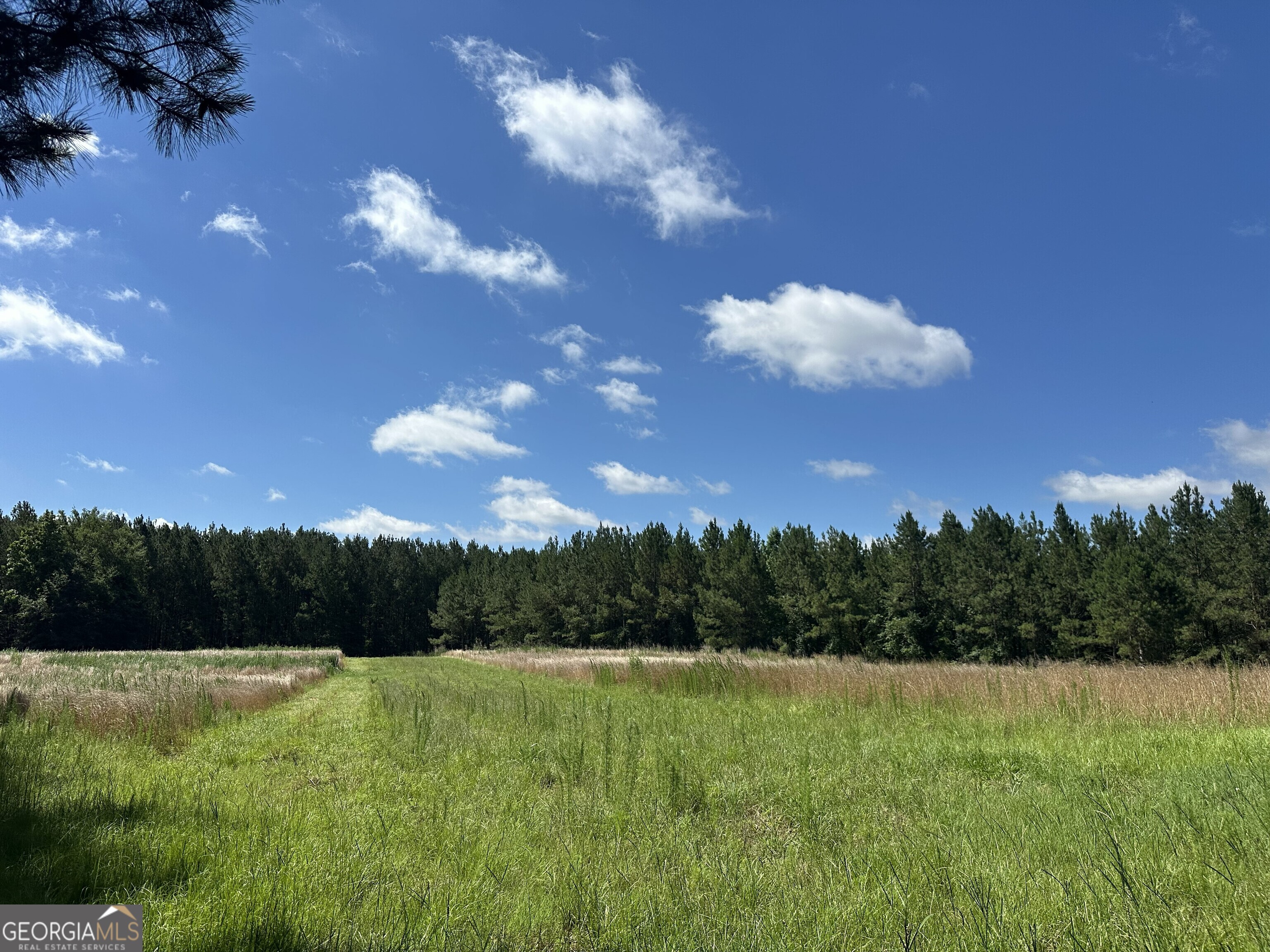3330 Callaway Road Property Photo 83