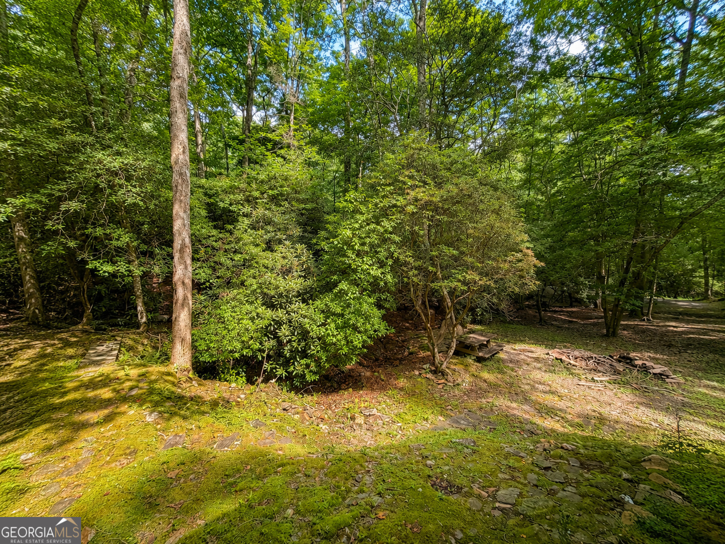 480 Wahu Hu Drive Property Photo 49