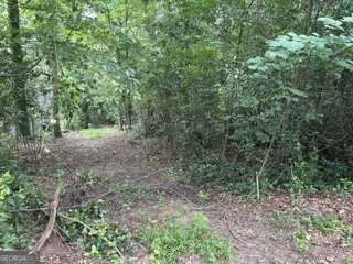 3736 Overlook Drive Property Photo 3