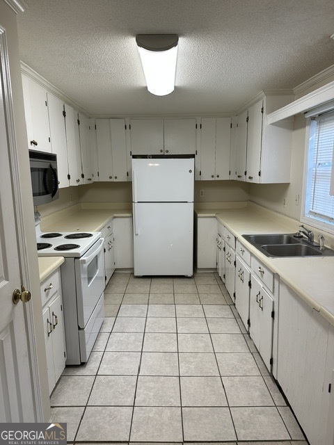 130 Comer Terrace Property Photo 10