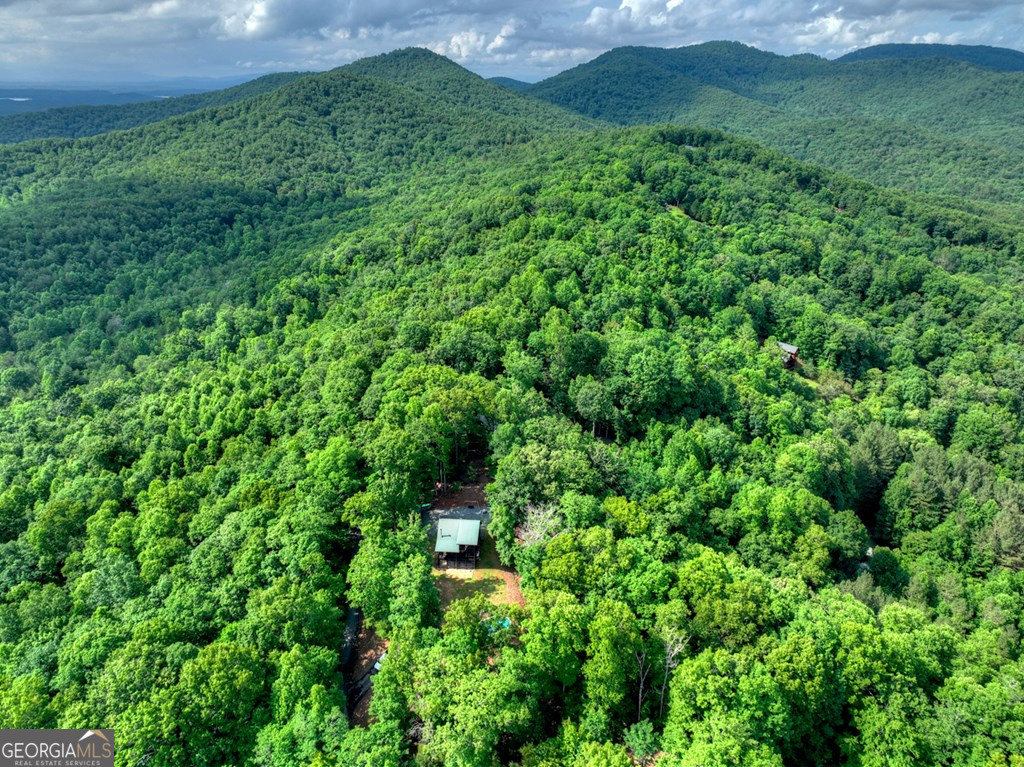 782 Scenic Mountain View Road Property Photo 36