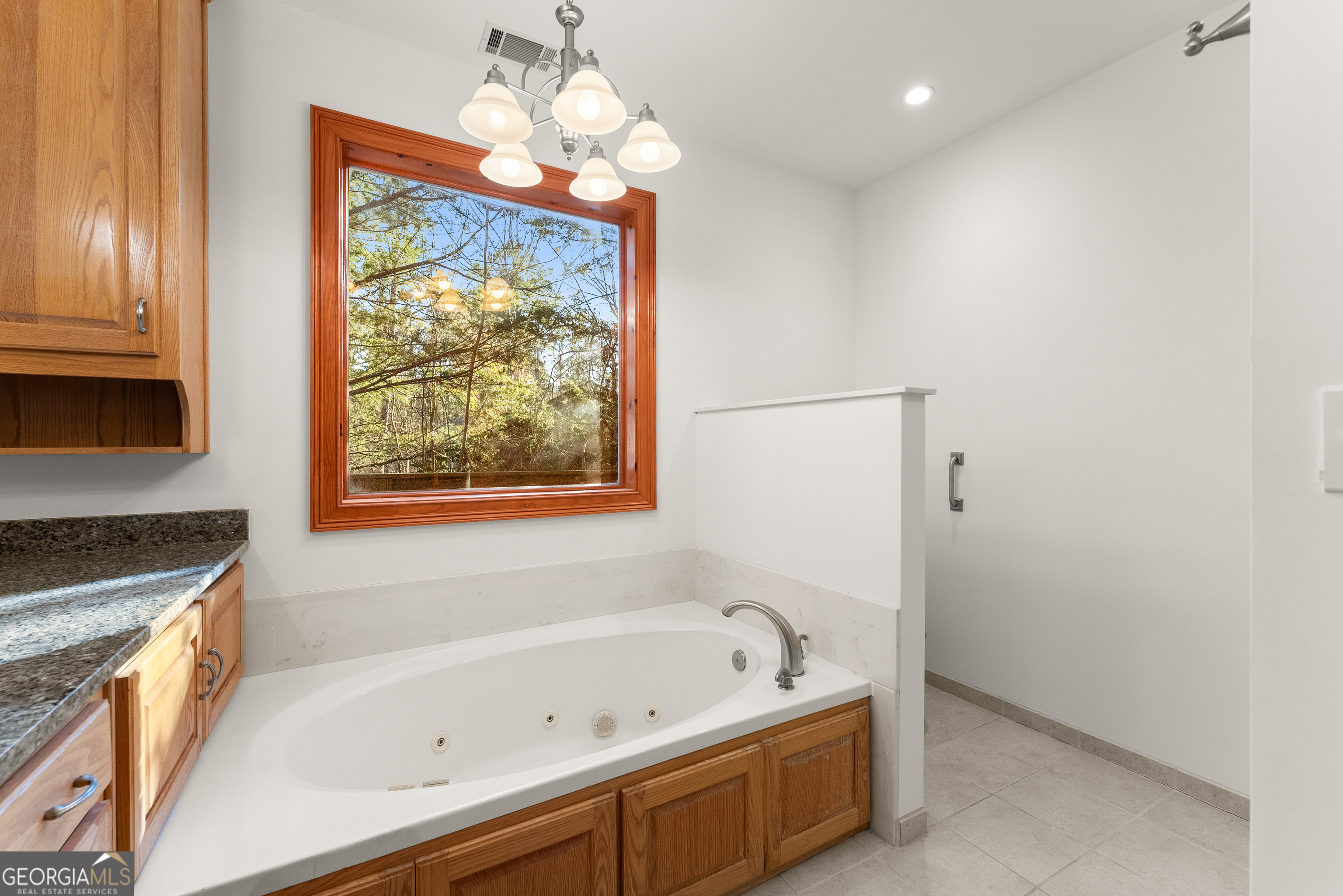 287 Spring Branch Circle Property Photo 33