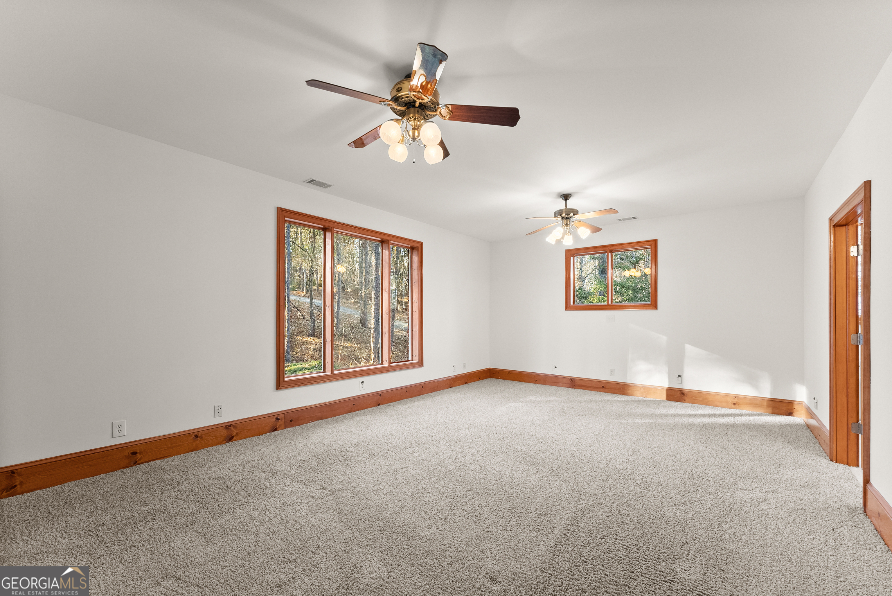 287 Spring Branch Circle Property Photo 38