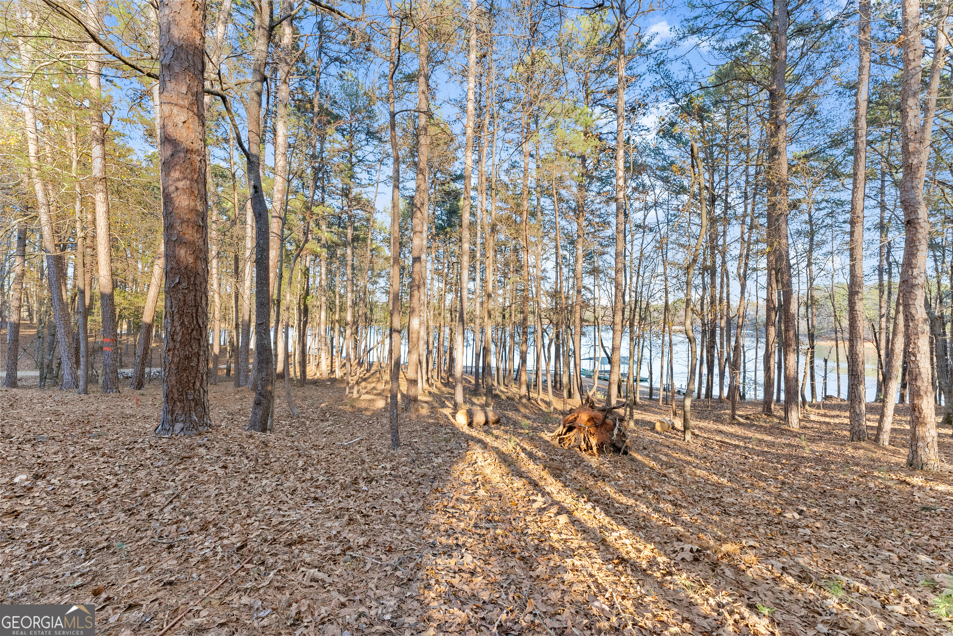 287 Spring Branch Circle Property Photo 46