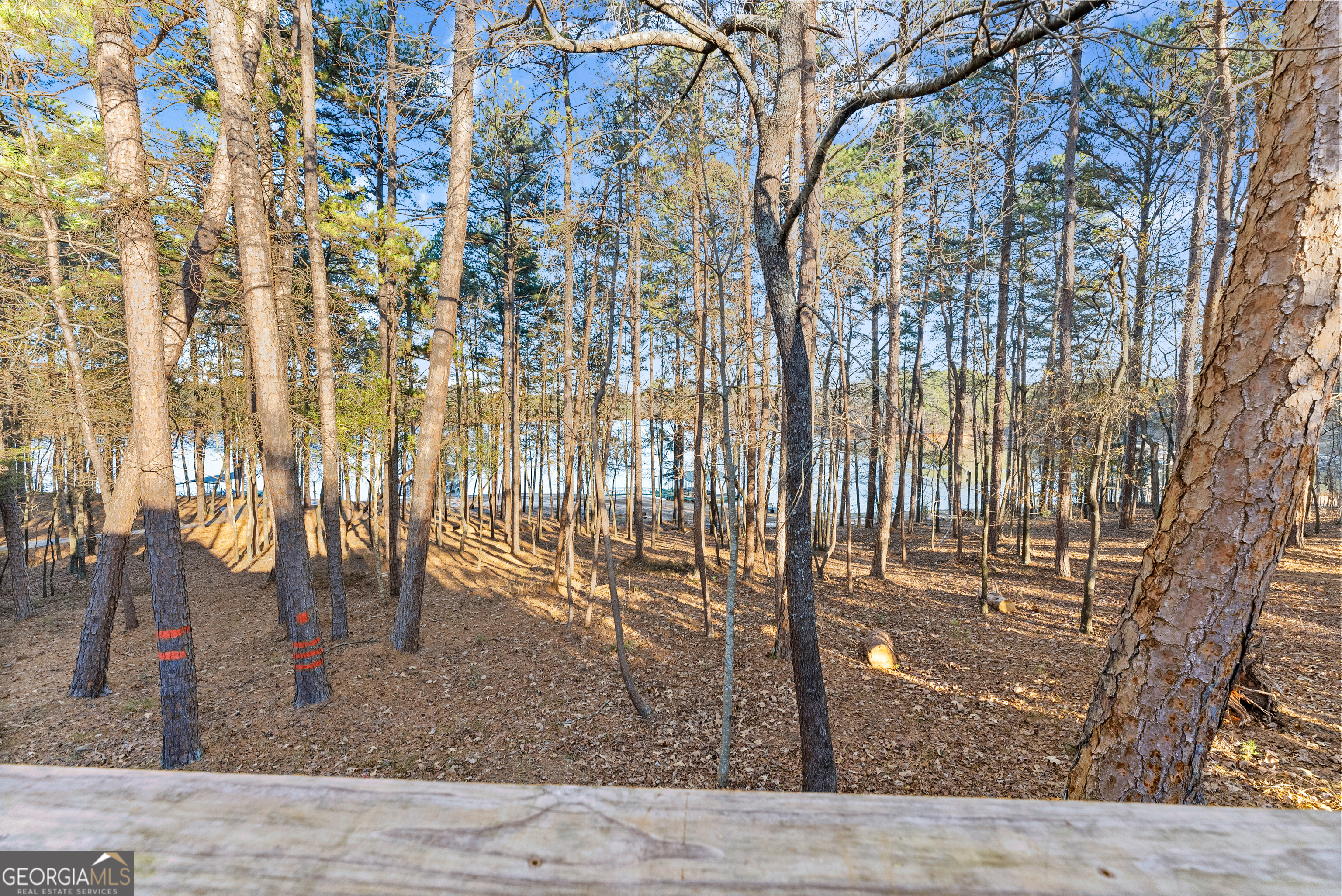 287 Spring Branch Circle Property Photo 47