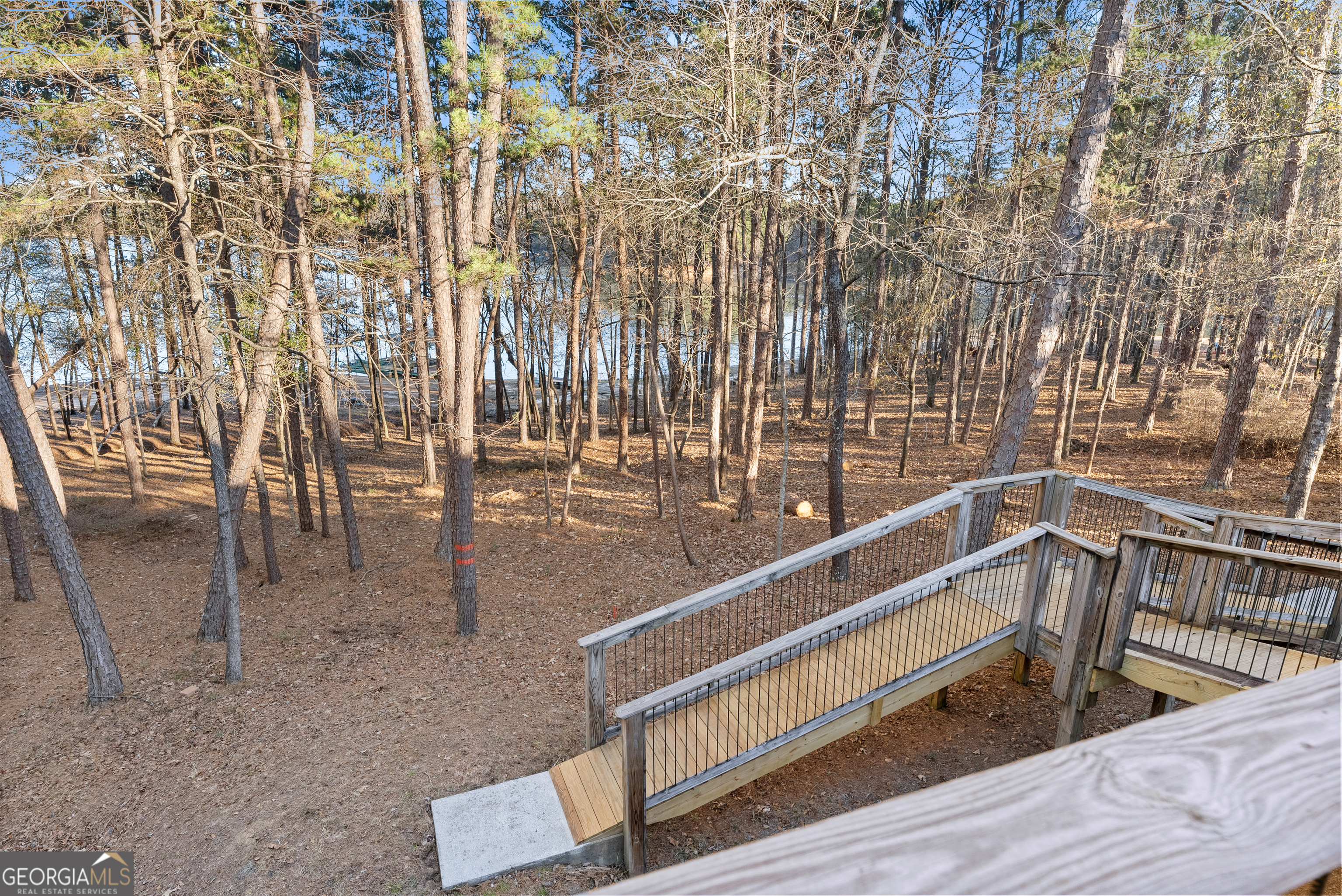 287 Spring Branch Circle Property Photo 49