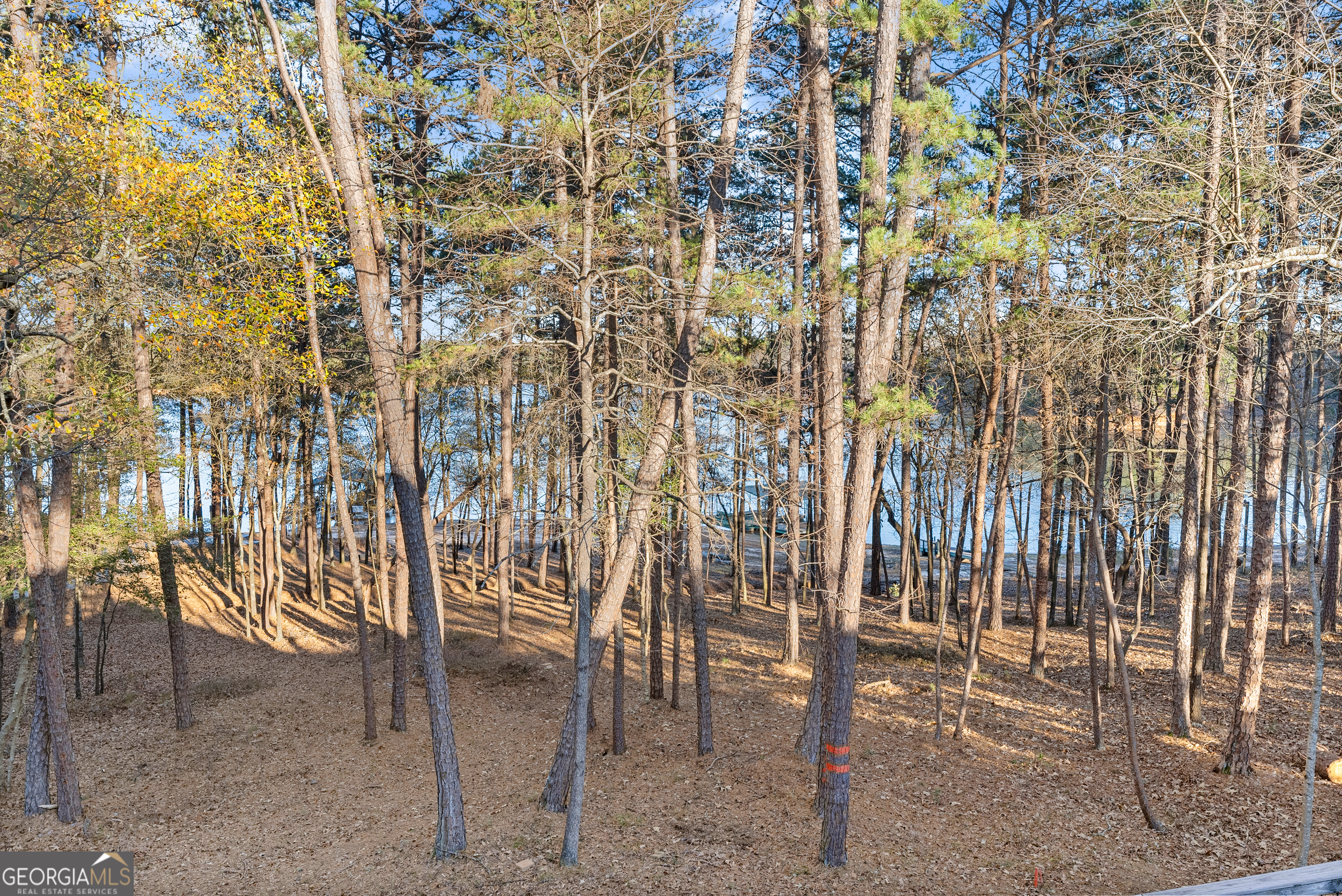287 Spring Branch Circle Property Photo 50