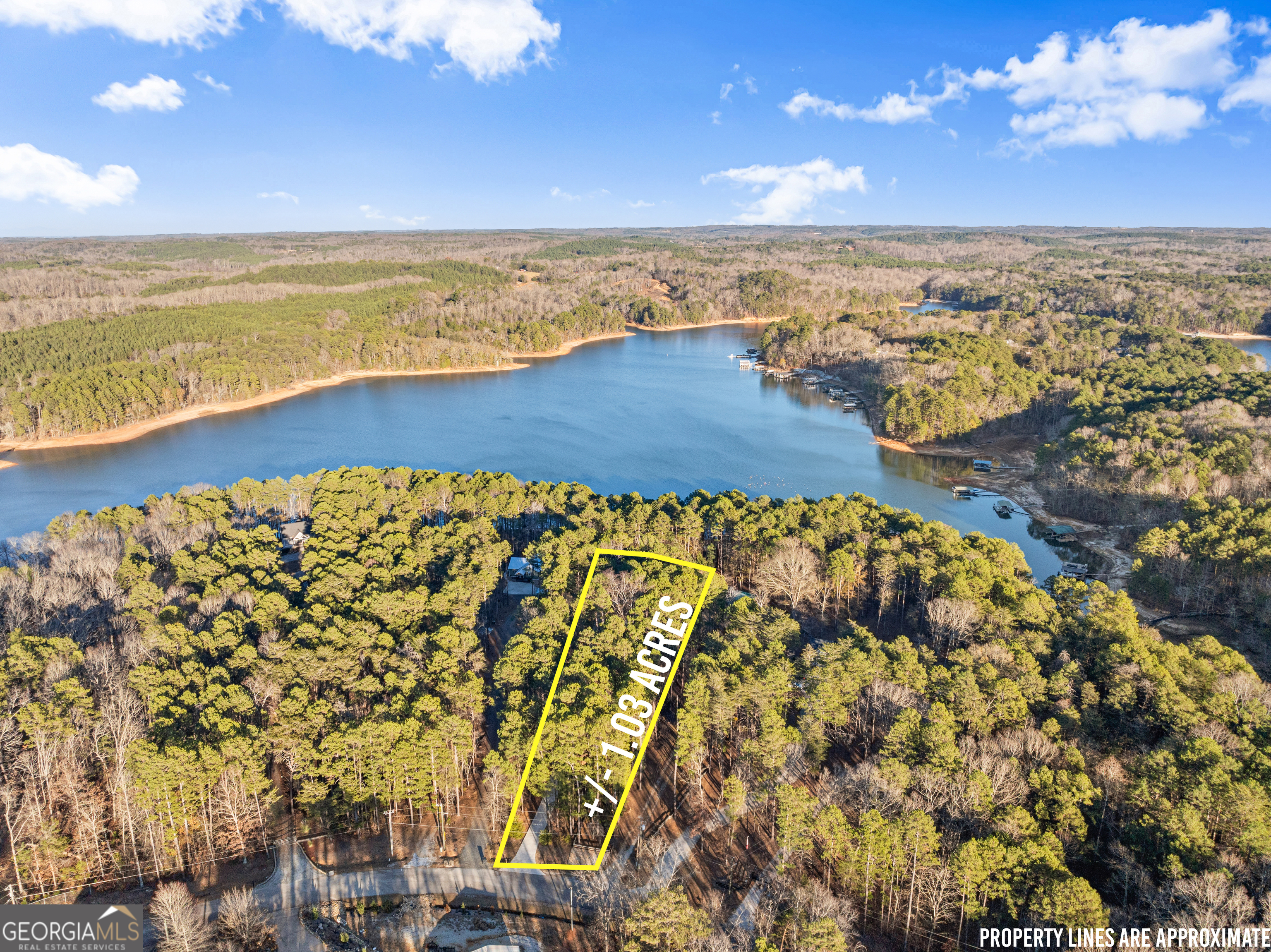 287 Spring Branch Circle Property Photo 67