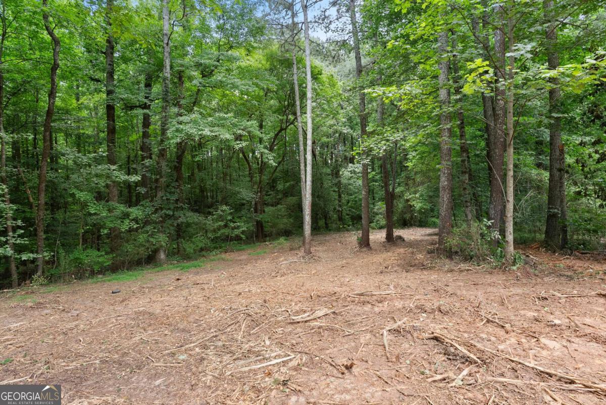 6000 Devonshire Drive Property Photo 43