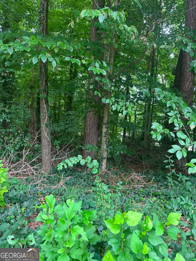 721 Aberdeen Drive Property Photo 6