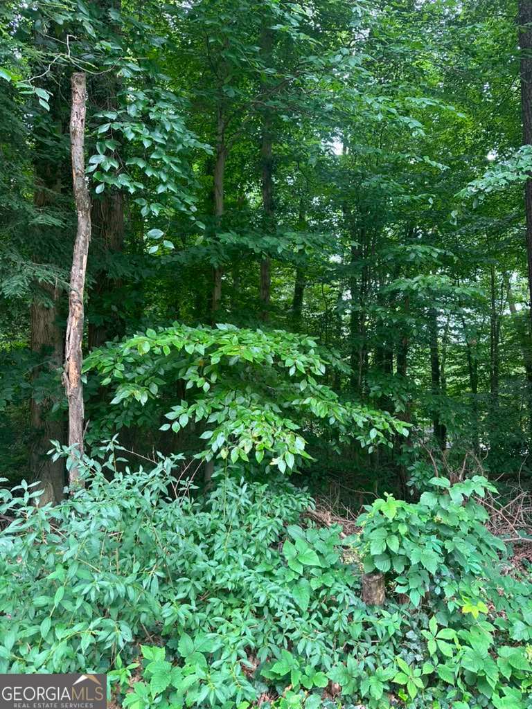 721 Aberdeen Drive Property Photo 11