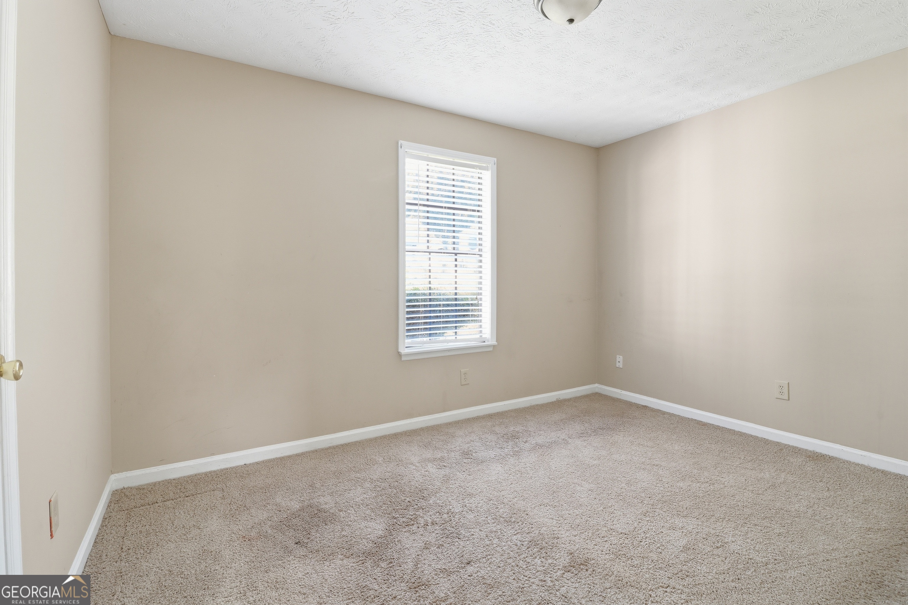 5288 Biffle Downs Road Property Photo 14