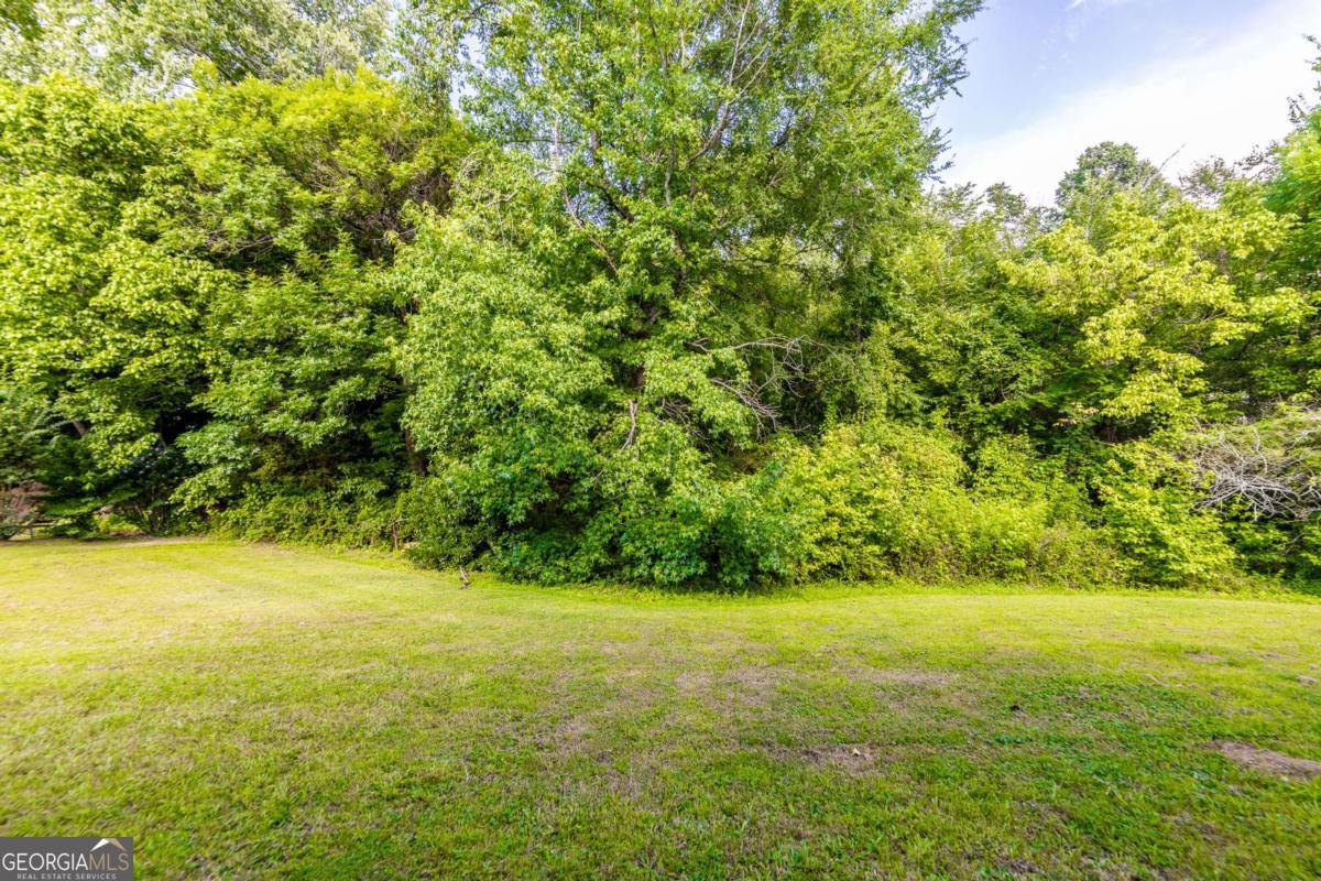 1784 Cedar Walk Lane Property Photo 7