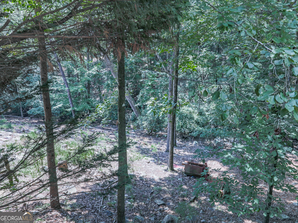 137 Blue Fox Loop Property Photo 30