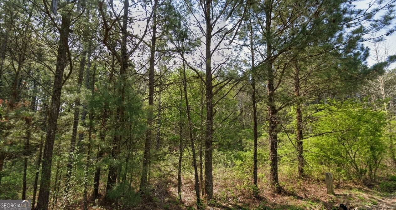0 Collard Valley Road Lot 1 Property Photo 5