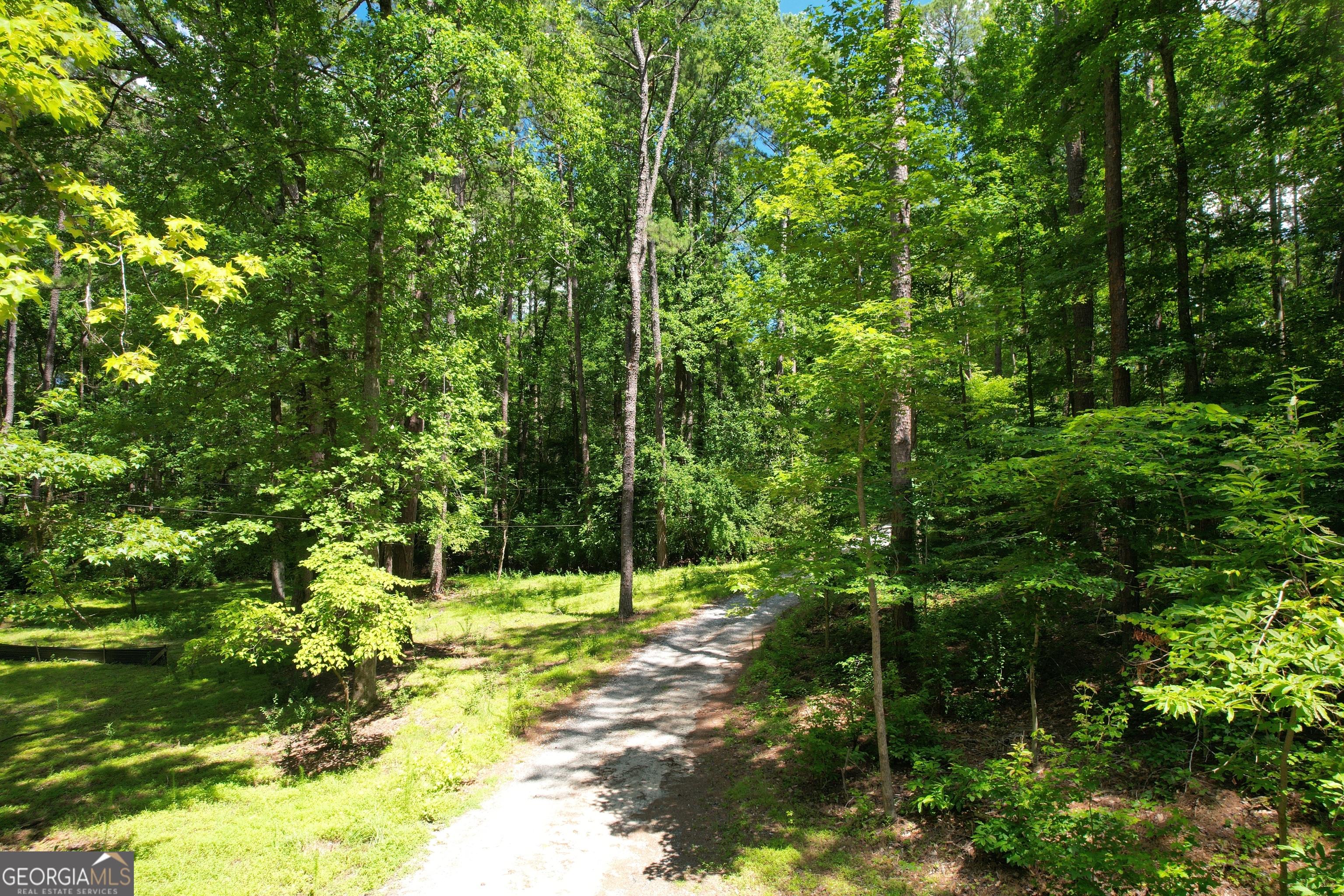 4165 Pittman Road Property Photo 8