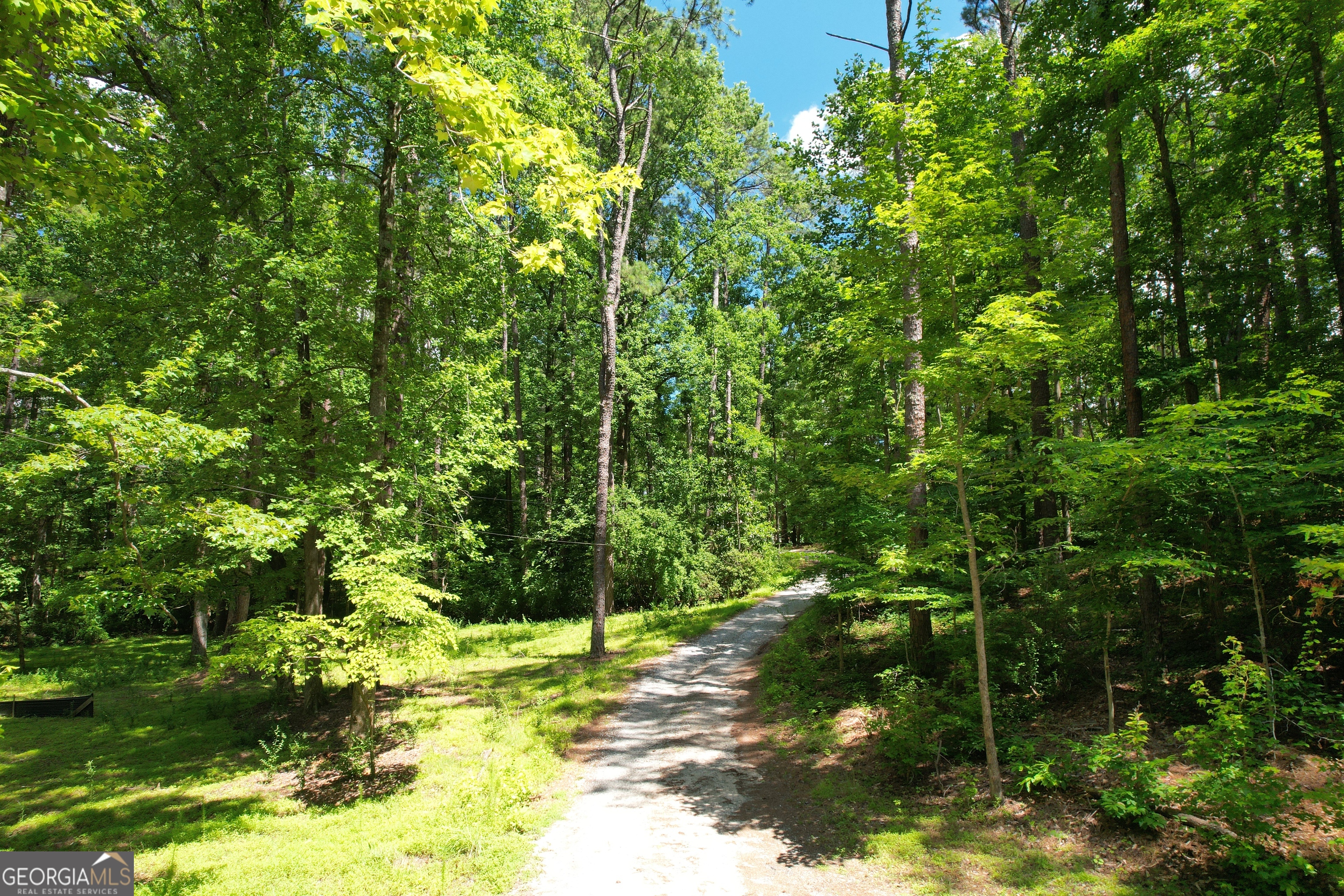 4165 Pittman Road Property Photo 9