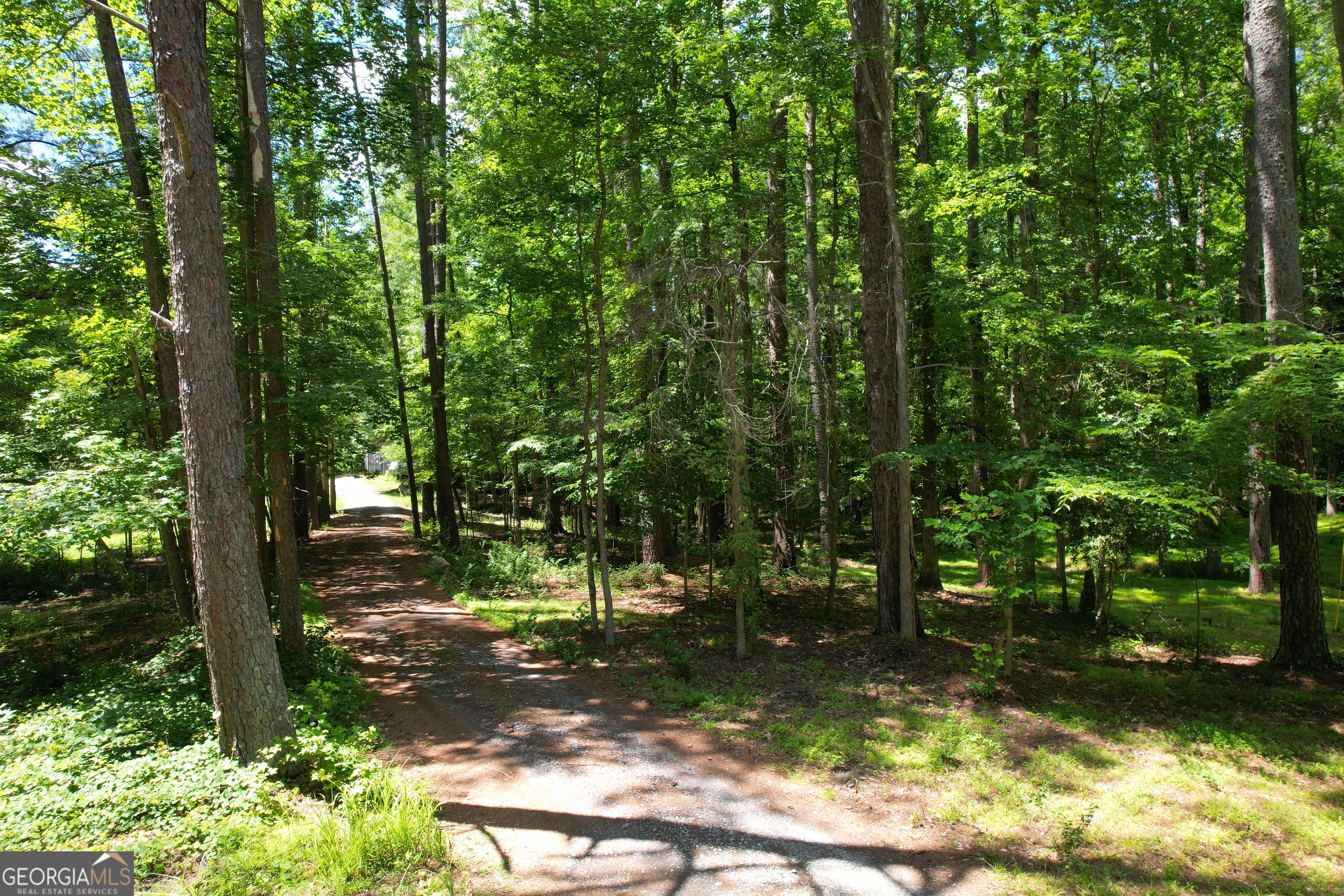 4165 Pittman Road Property Photo 12