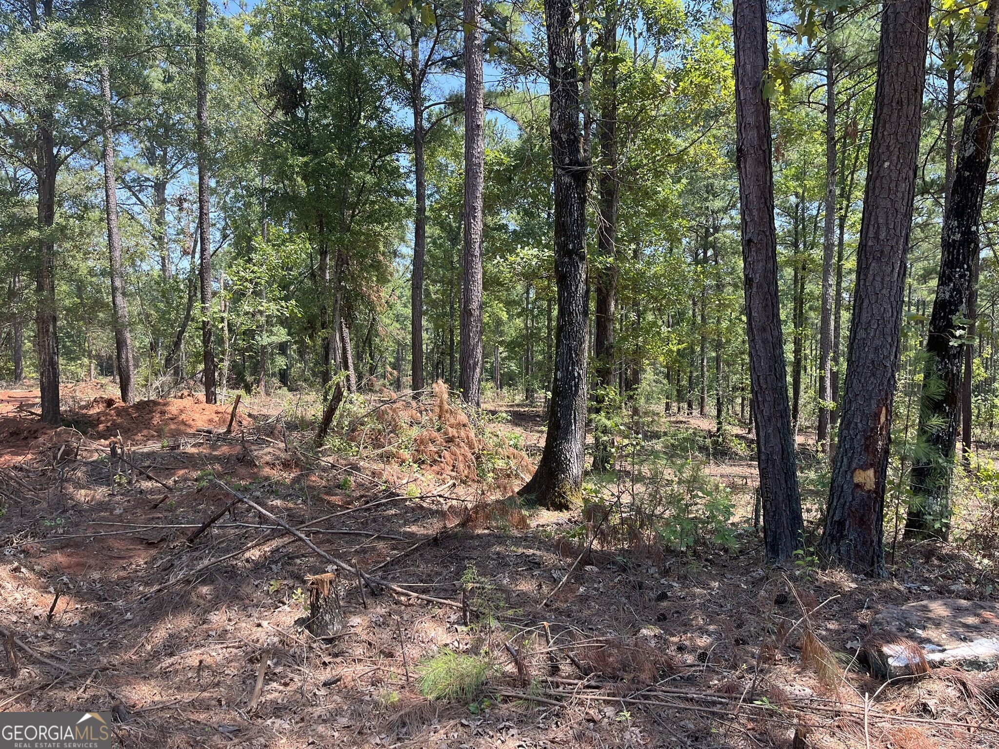 Lot 18 Gordon Road Property Photo 3