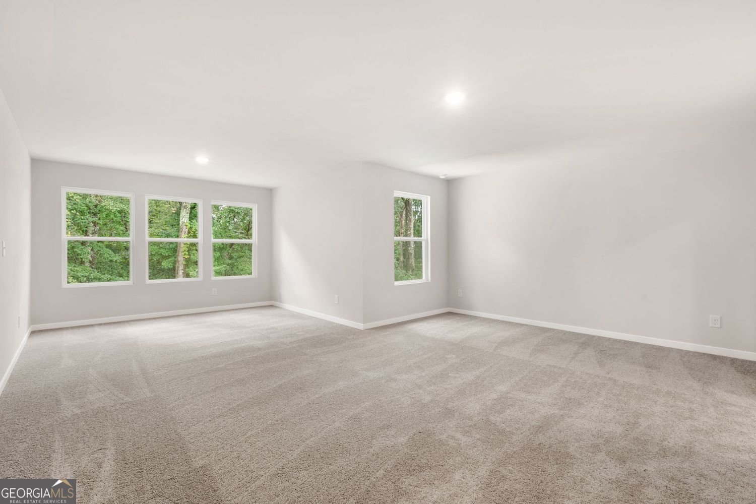 124 Serenade Creek Road Property Photo 24