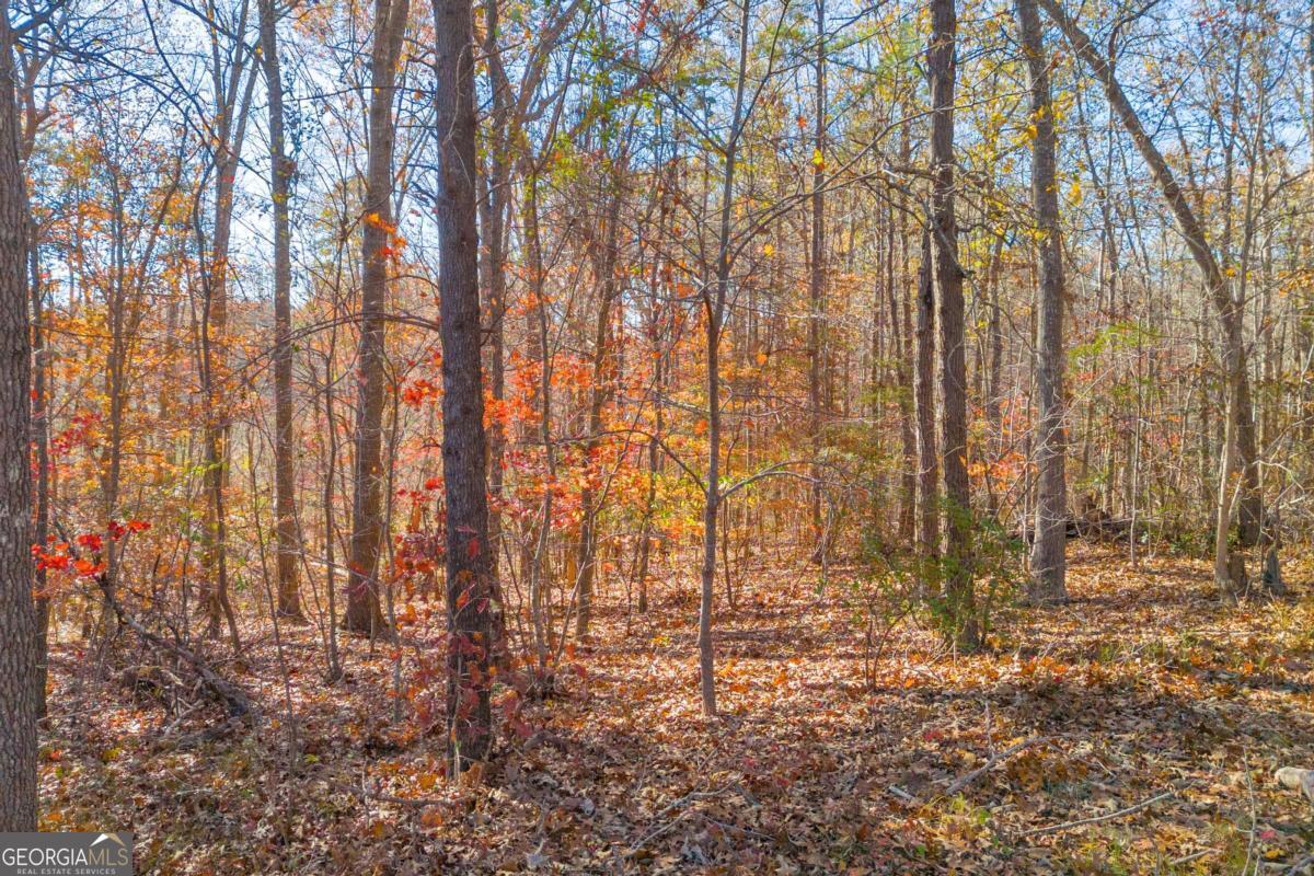 Lot 12 N Hicks Road Property Photo 8