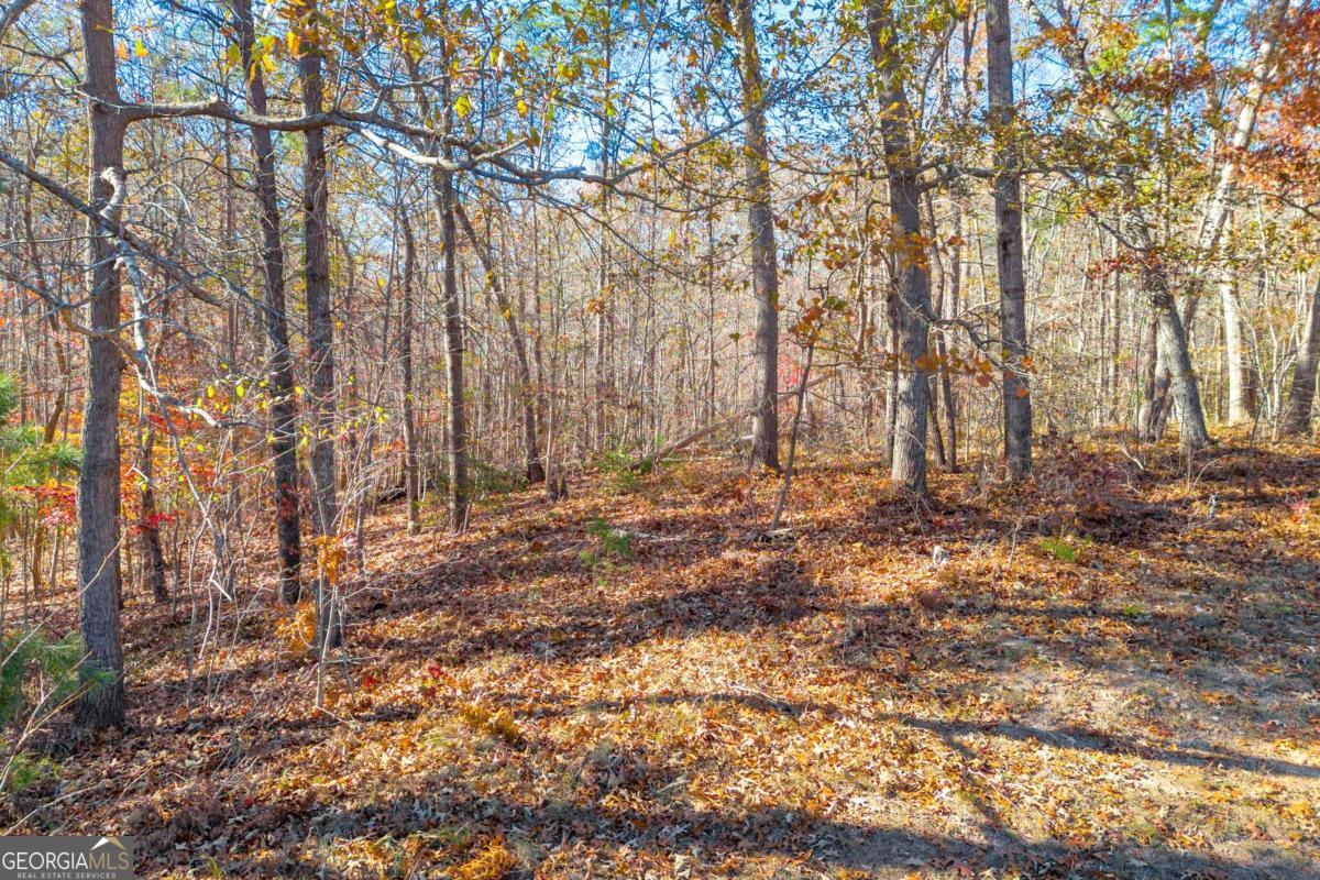 Lot 12 N Hicks Road Property Photo 9