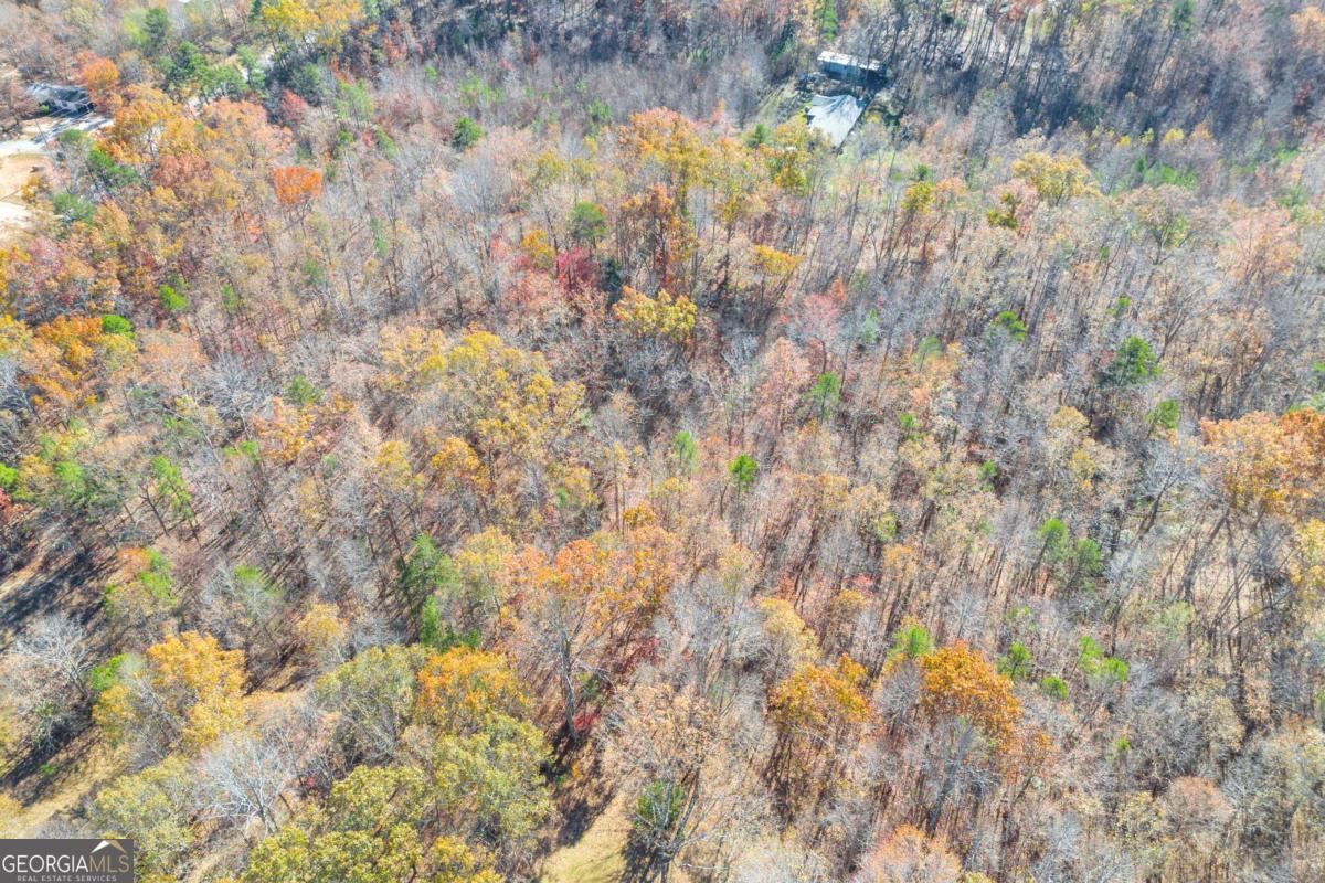 Lot 12 N Hicks Road Property Photo 14