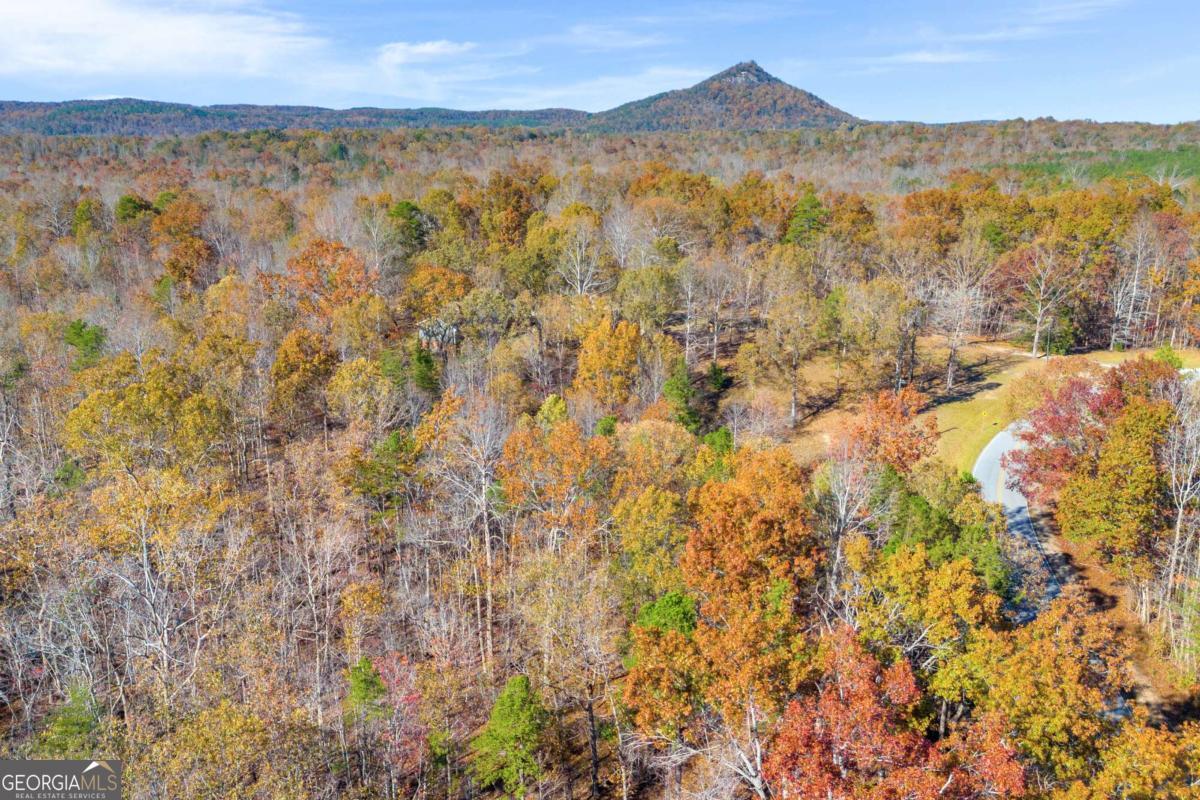 Lot 12 N Hicks Road Property Photo 17