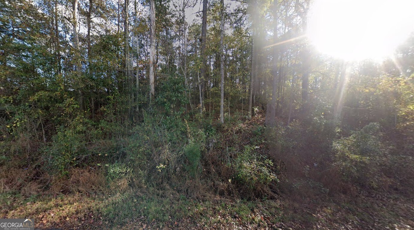 246 Pine Hill Road Property Photo 2