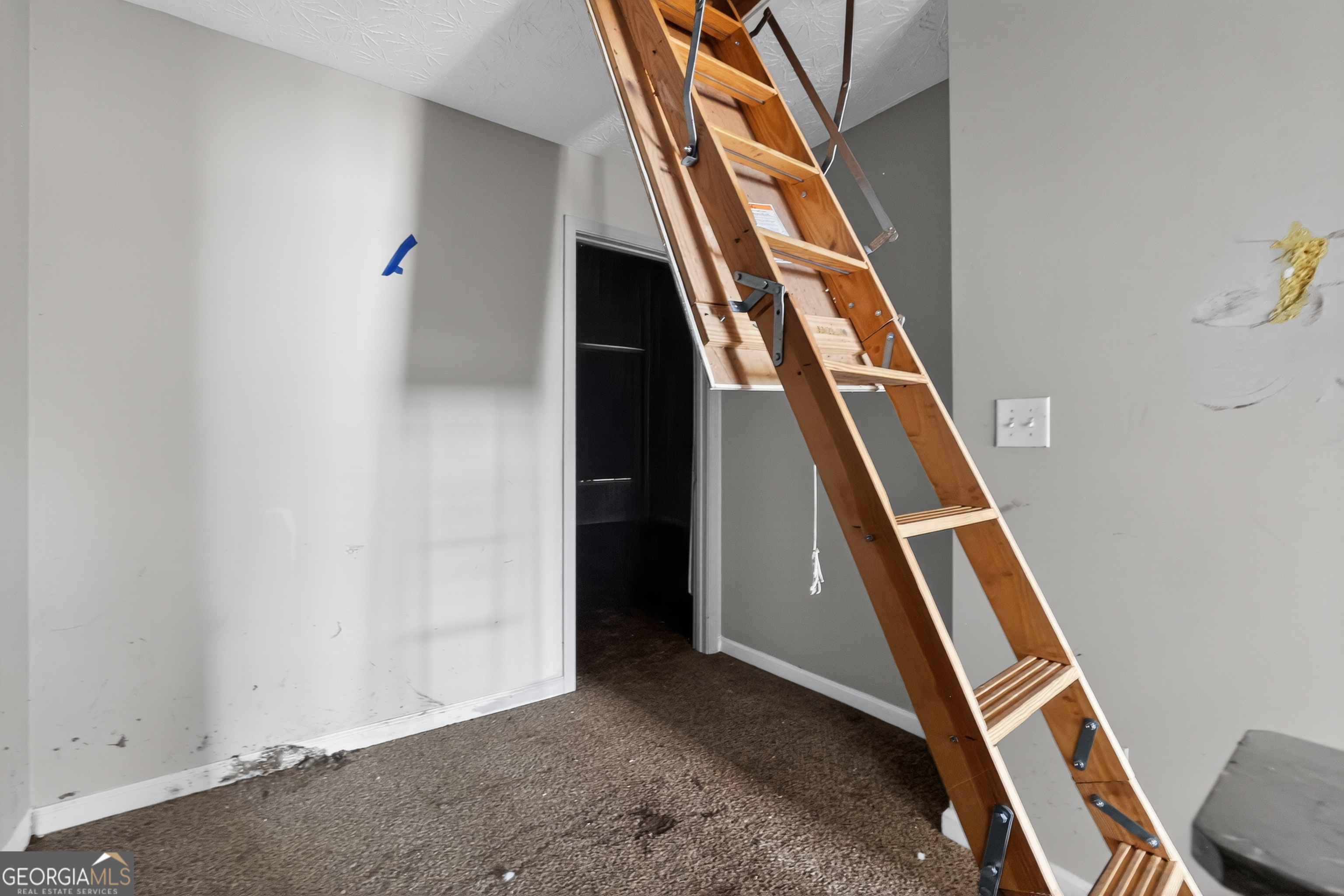 2852 Vining Ridge Terrace Property Photo 15