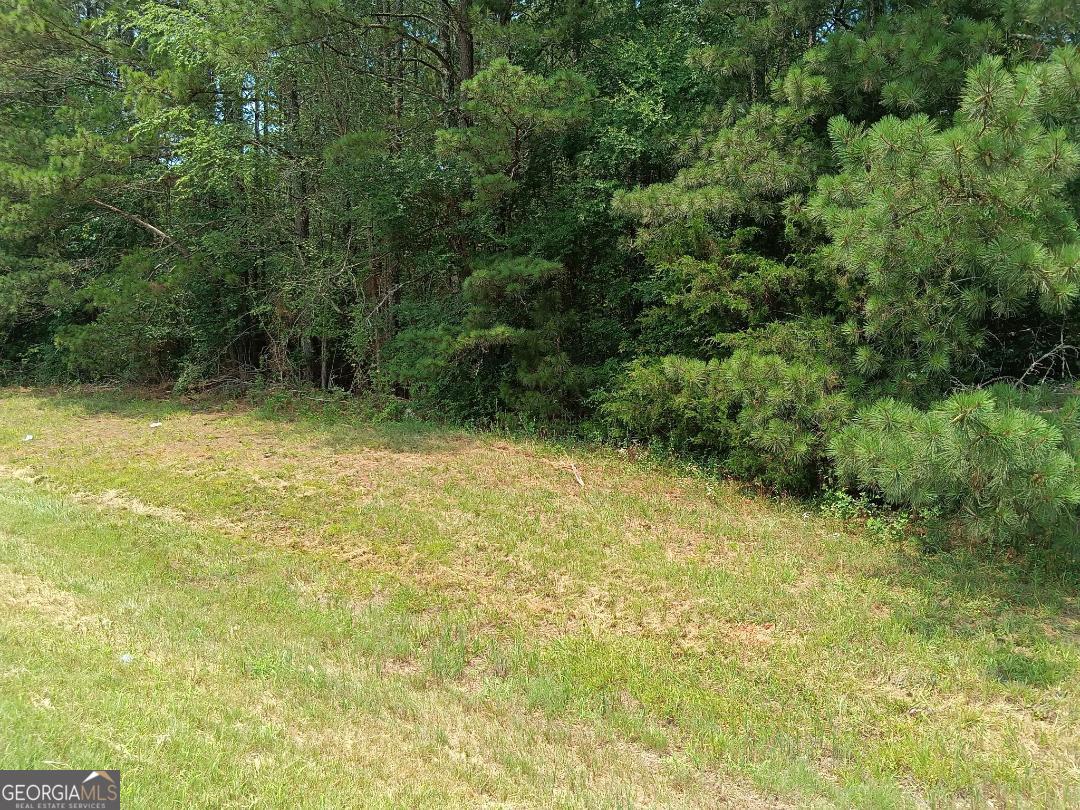 11.78 Ac +- Athens Highway Property Photo 1