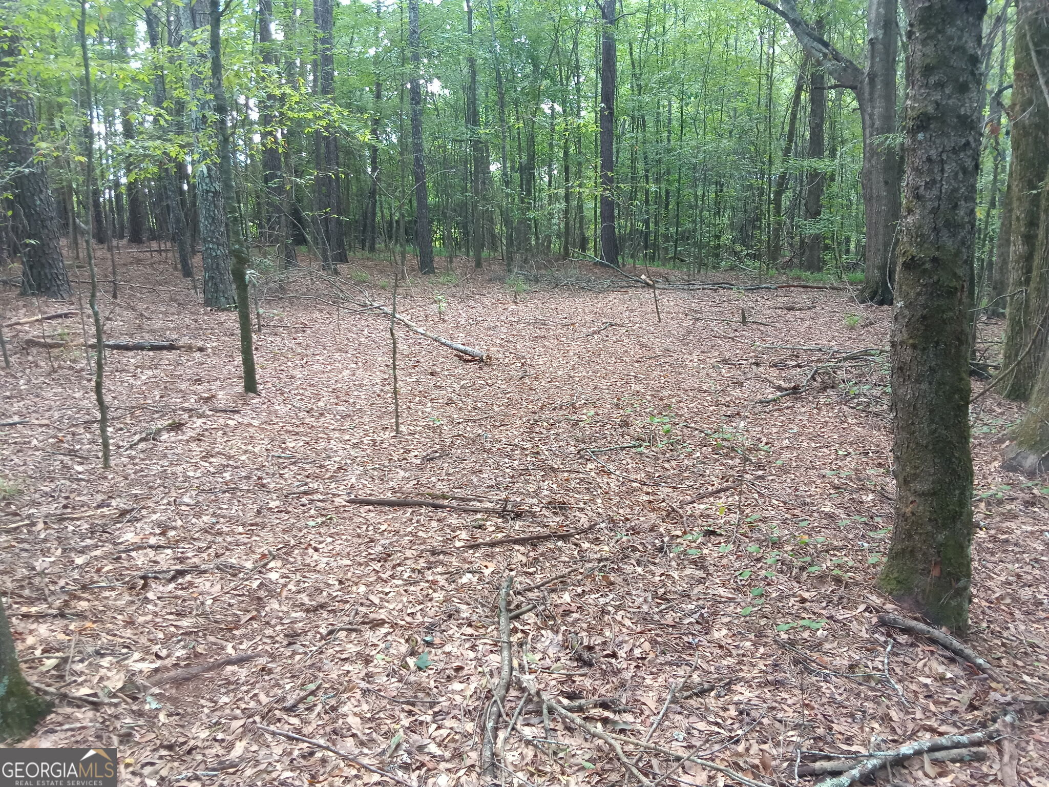 11.78 Ac +- Athens Highway Property Photo 7