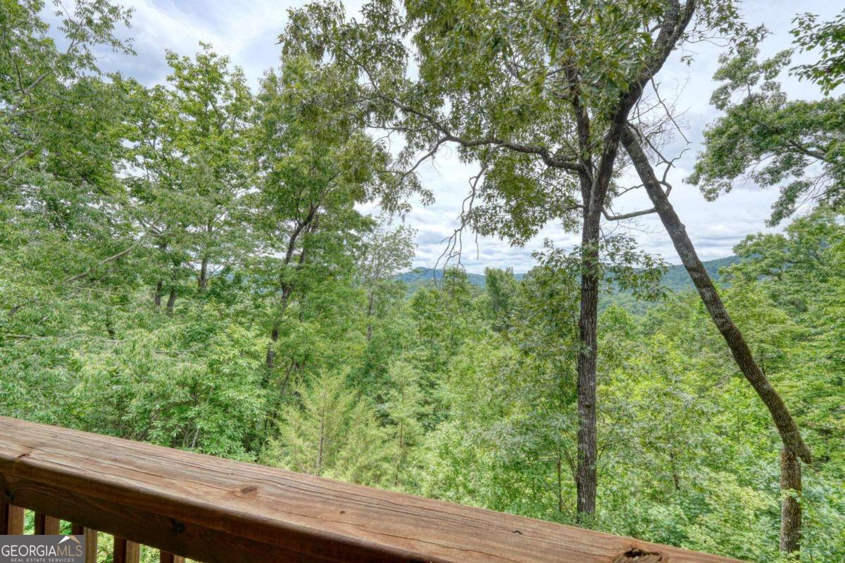 48 Pine Top Drive Property Photo 61