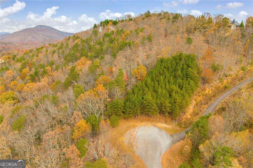 0 Eagle Ridge Trail Lot #4 & Lot #5 Trail Lot 5 Property Photo 17