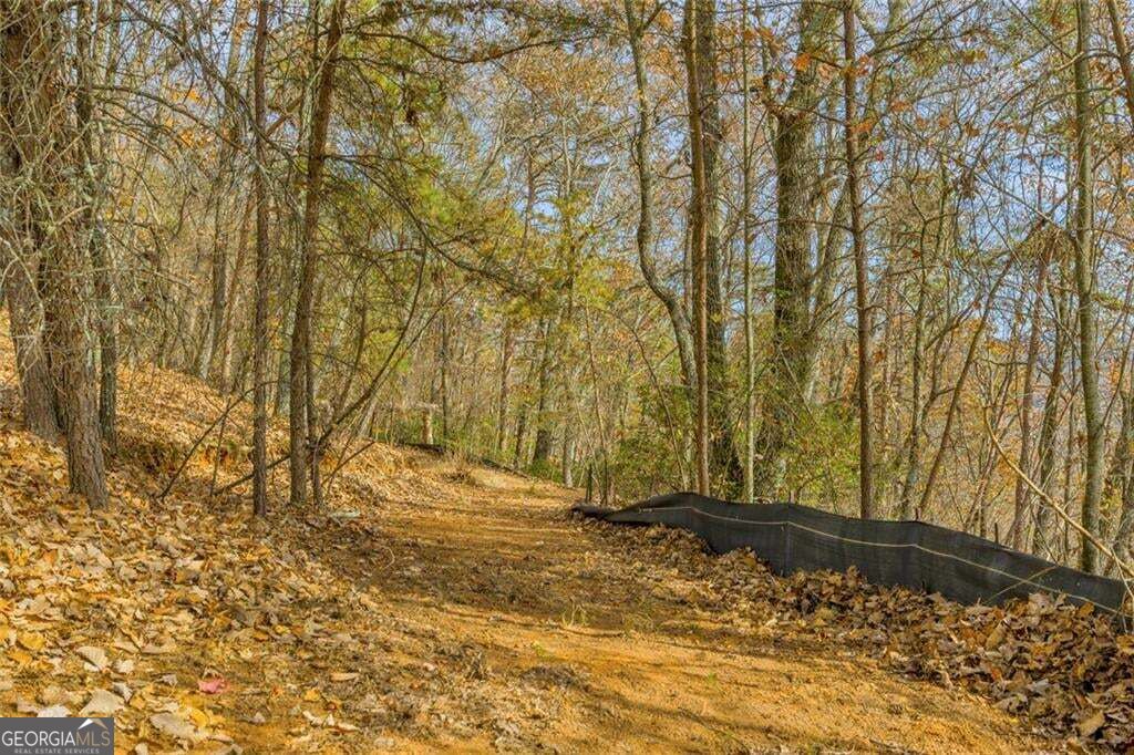 0 Eagle Ridge Trail Lot #4 & Lot #5 Trail Lot 5 Property Photo 18