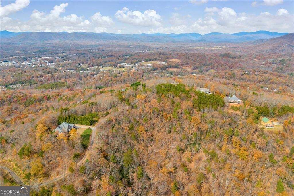0 Eagle Ridge Trail Lot #4 & Lot #5 Trail Lot 5 Property Photo 29