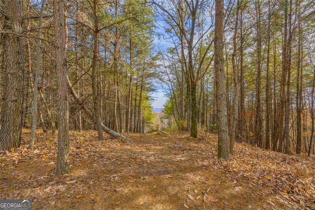 0 Eagle Ridge Trail Lot #4 & Lot #5 Trail Lot 5 Property Photo 38