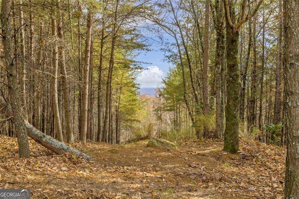0 Eagle Ridge Trail Lot #4 & Lot #5 Trail Lot 5 Property Photo 39