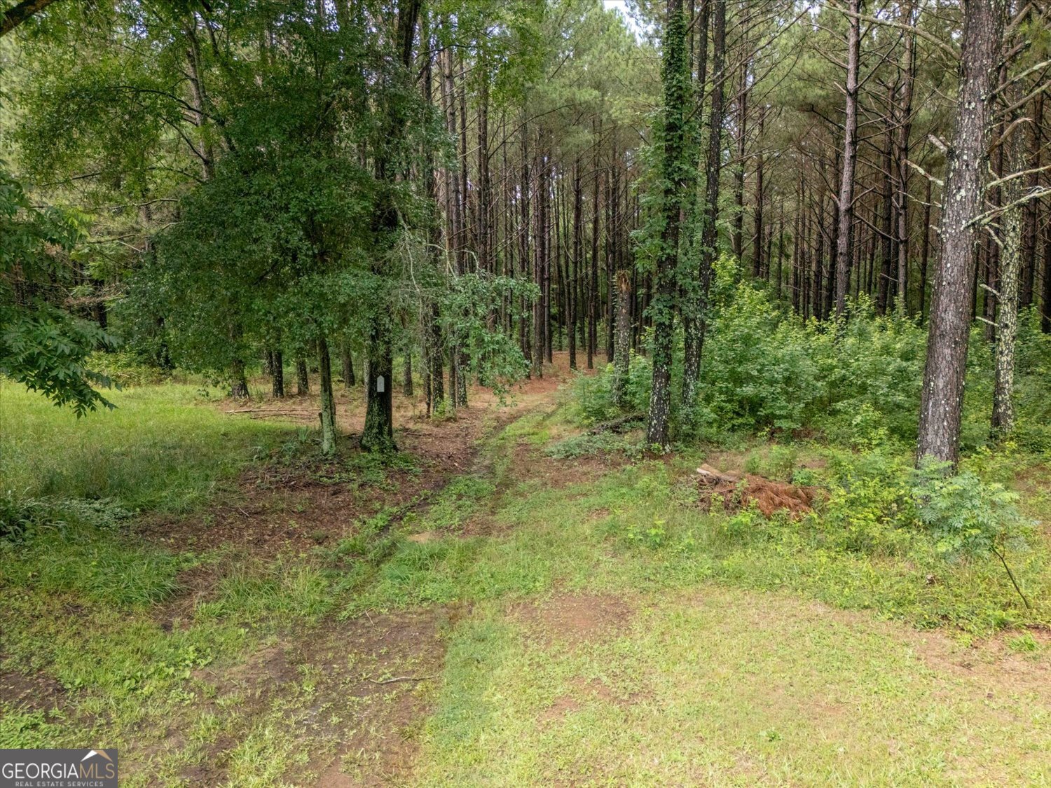 3328 Lundberg Road Property Photo 11