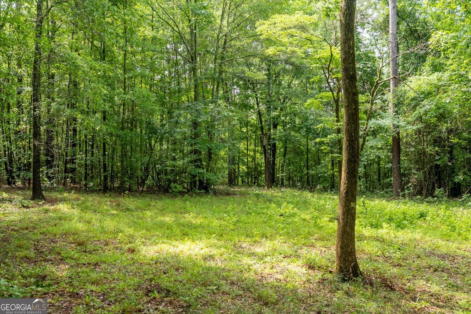3328 Lundberg Road Property Photo 12