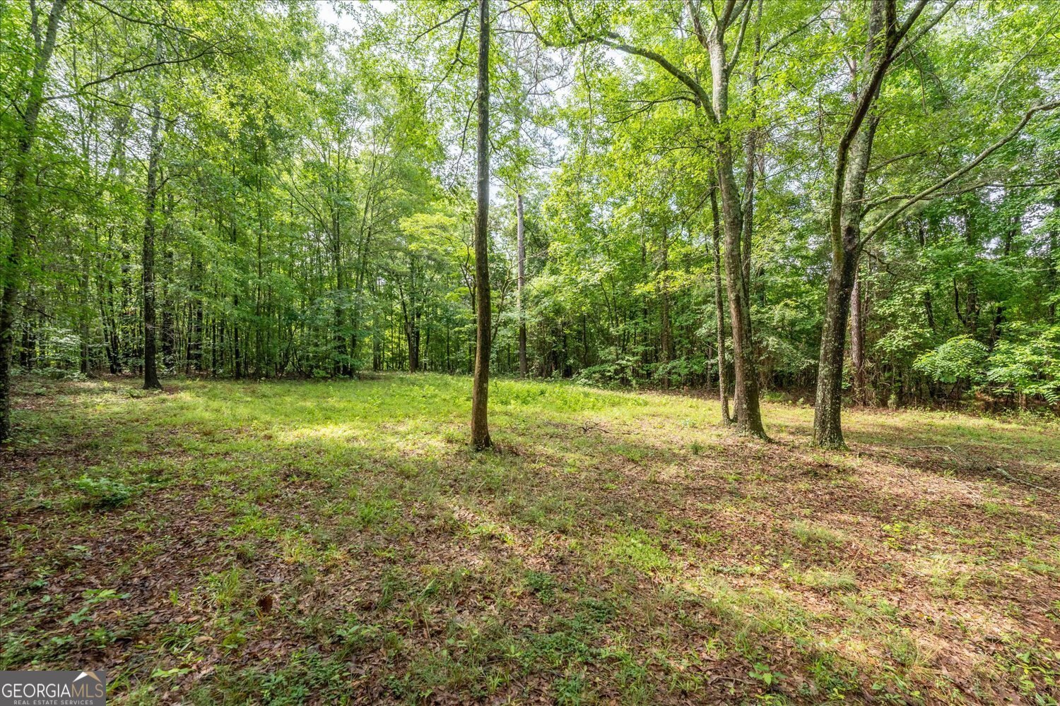 3328 Lundberg Road Property Photo 13