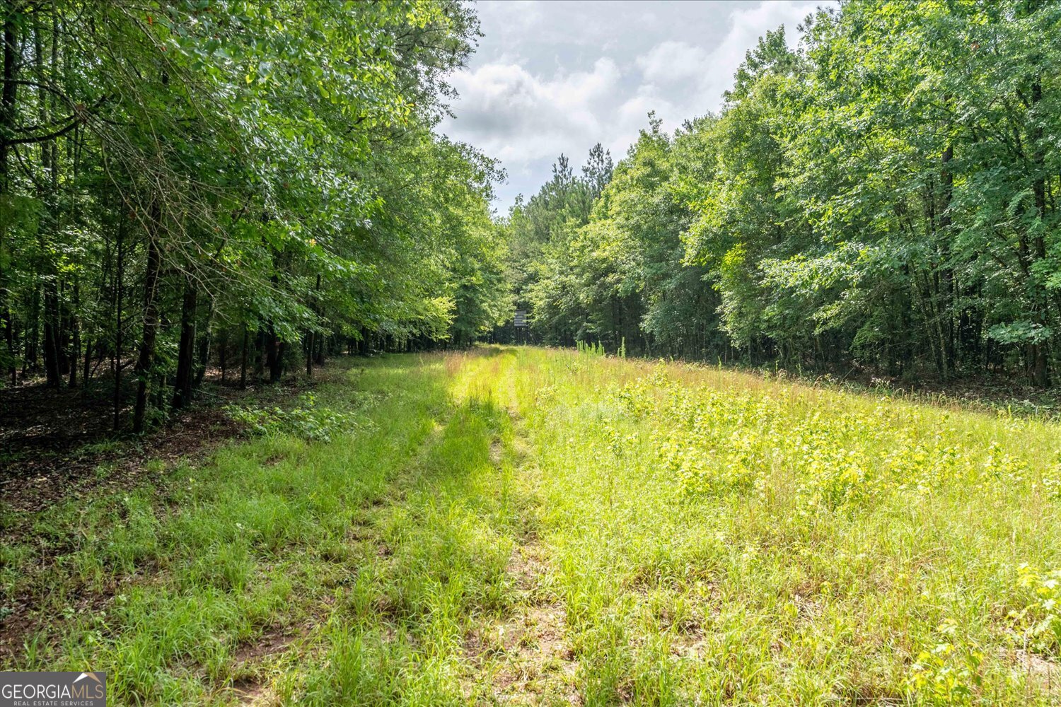 3328 Lundberg Road Property Photo 14