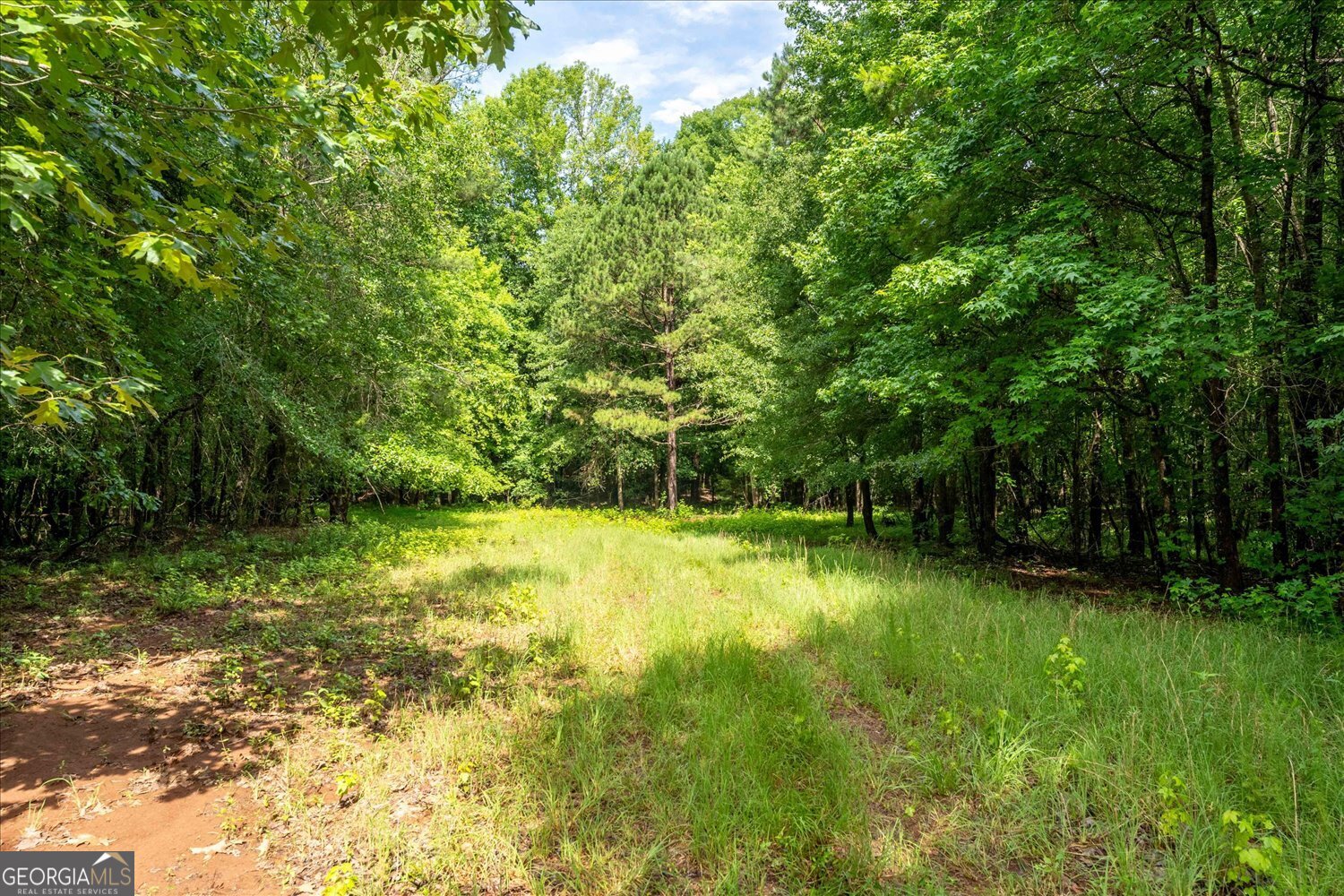 3328 Lundberg Road Property Photo 15