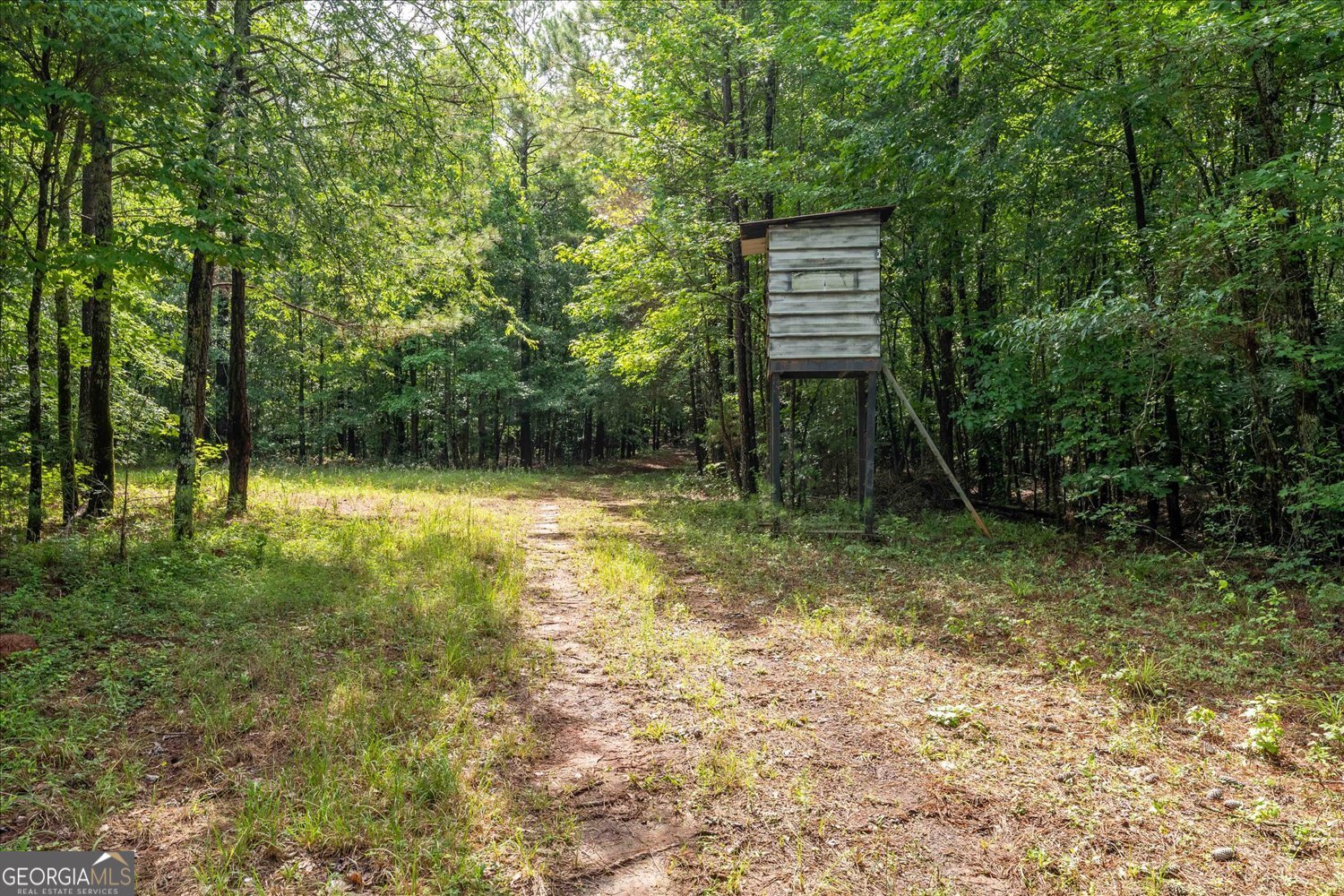 3328 Lundberg Road Property Photo 16