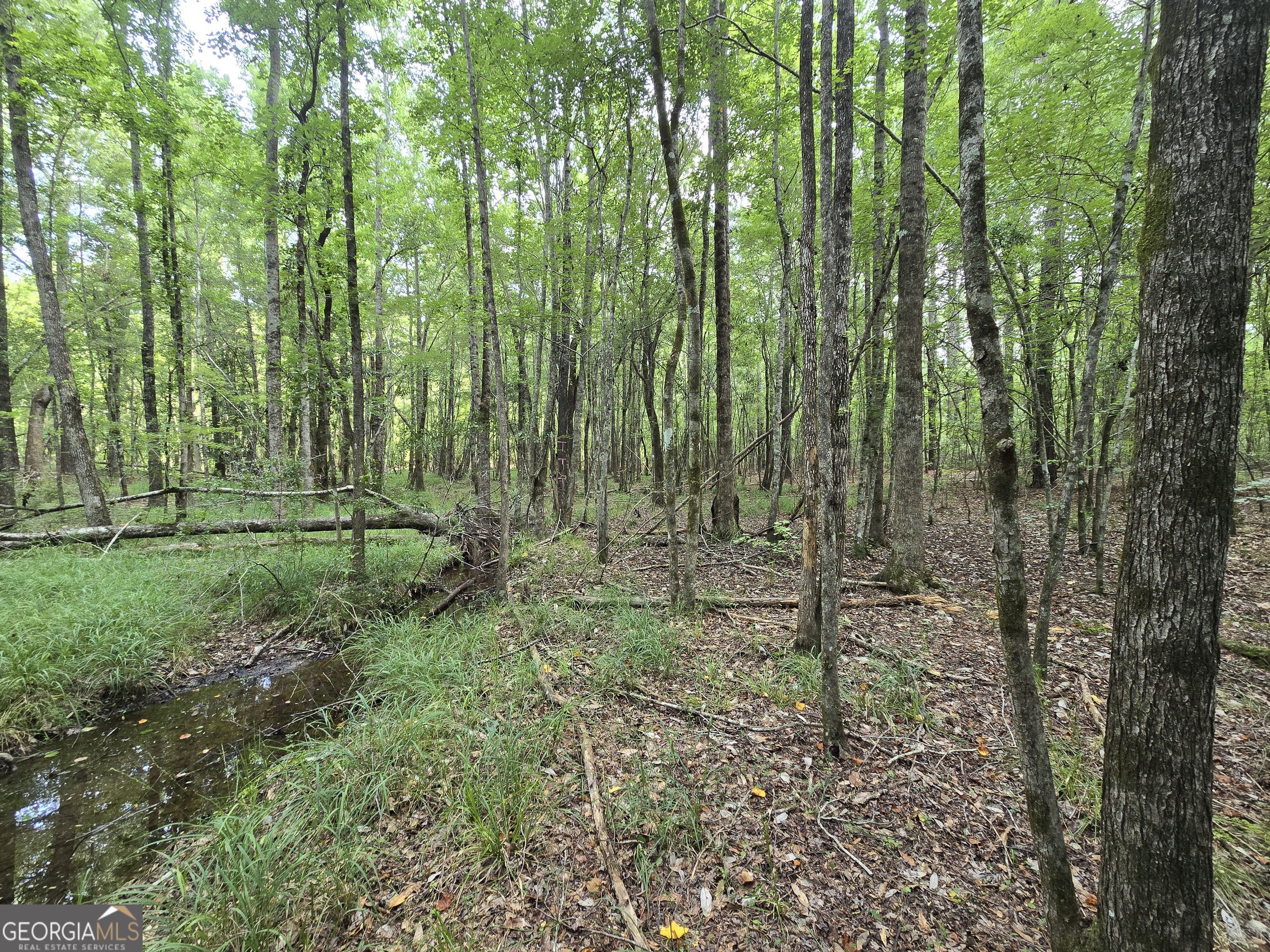 0 Colby Drive Property Photo 3