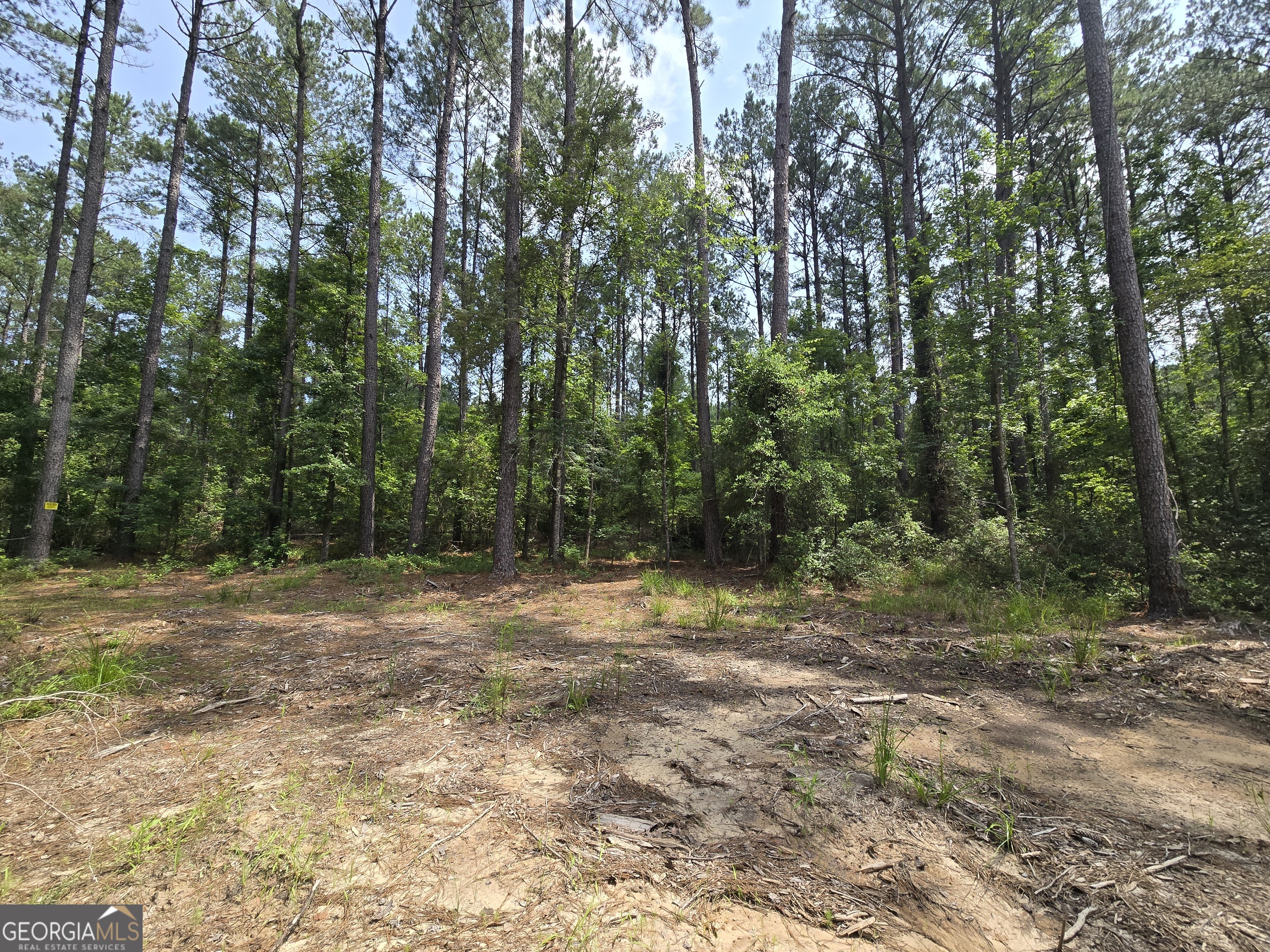 0 Colby Drive Property Photo 4