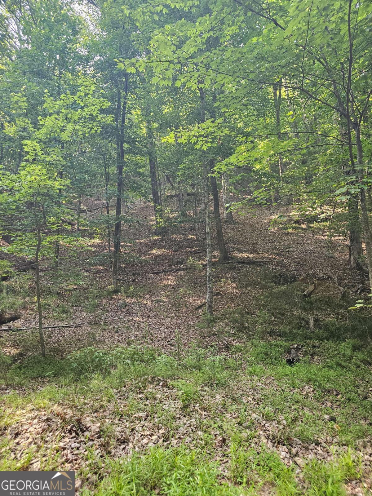 1111 Quail Cove Drive # 1111 Property Photo 1