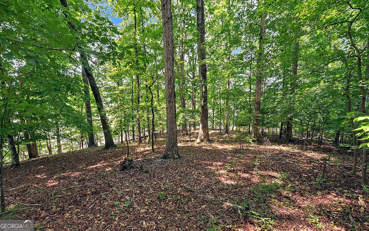 4521 Shoreline Drive Property Photo 61