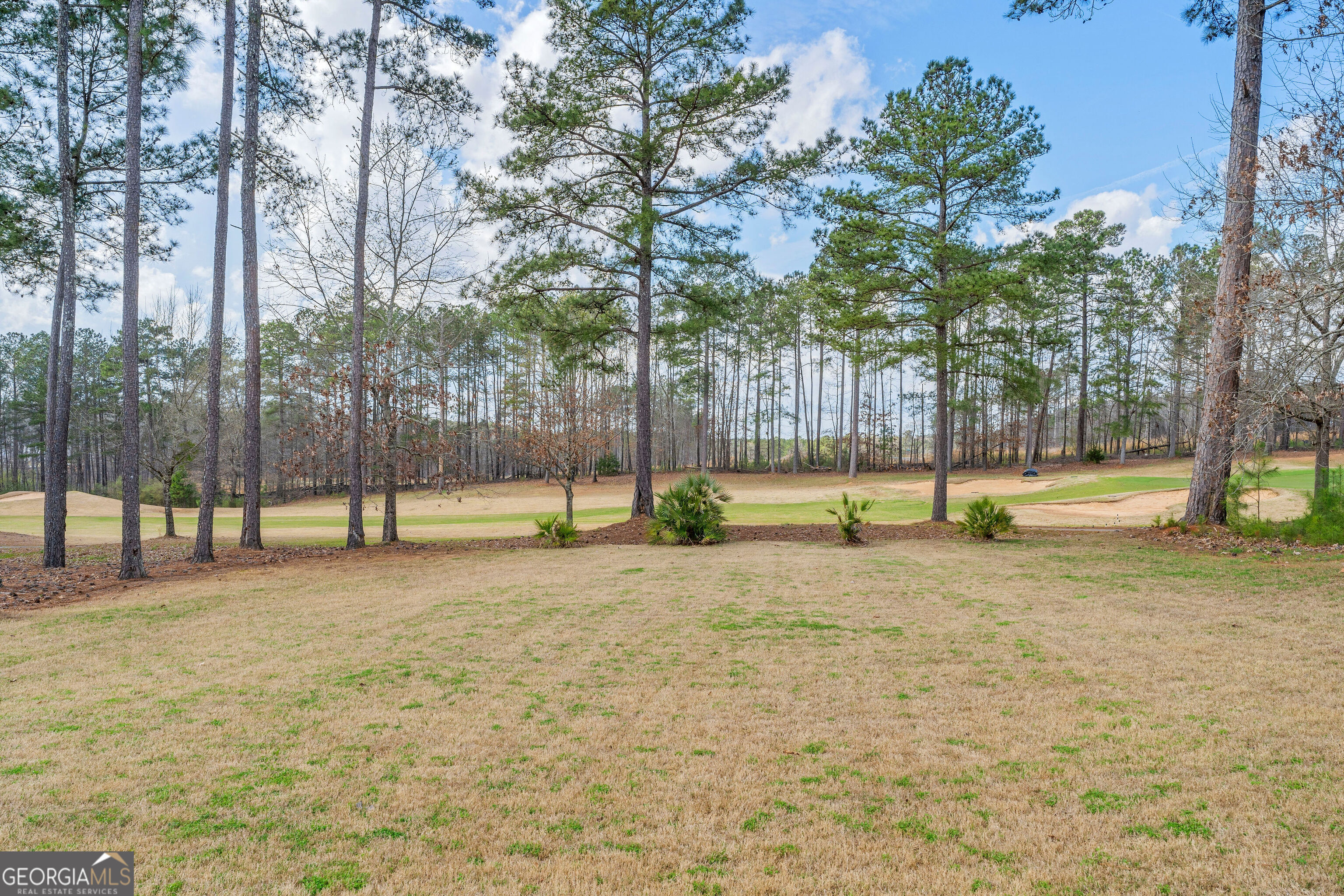 6857 Louis Drive Property Photo 40